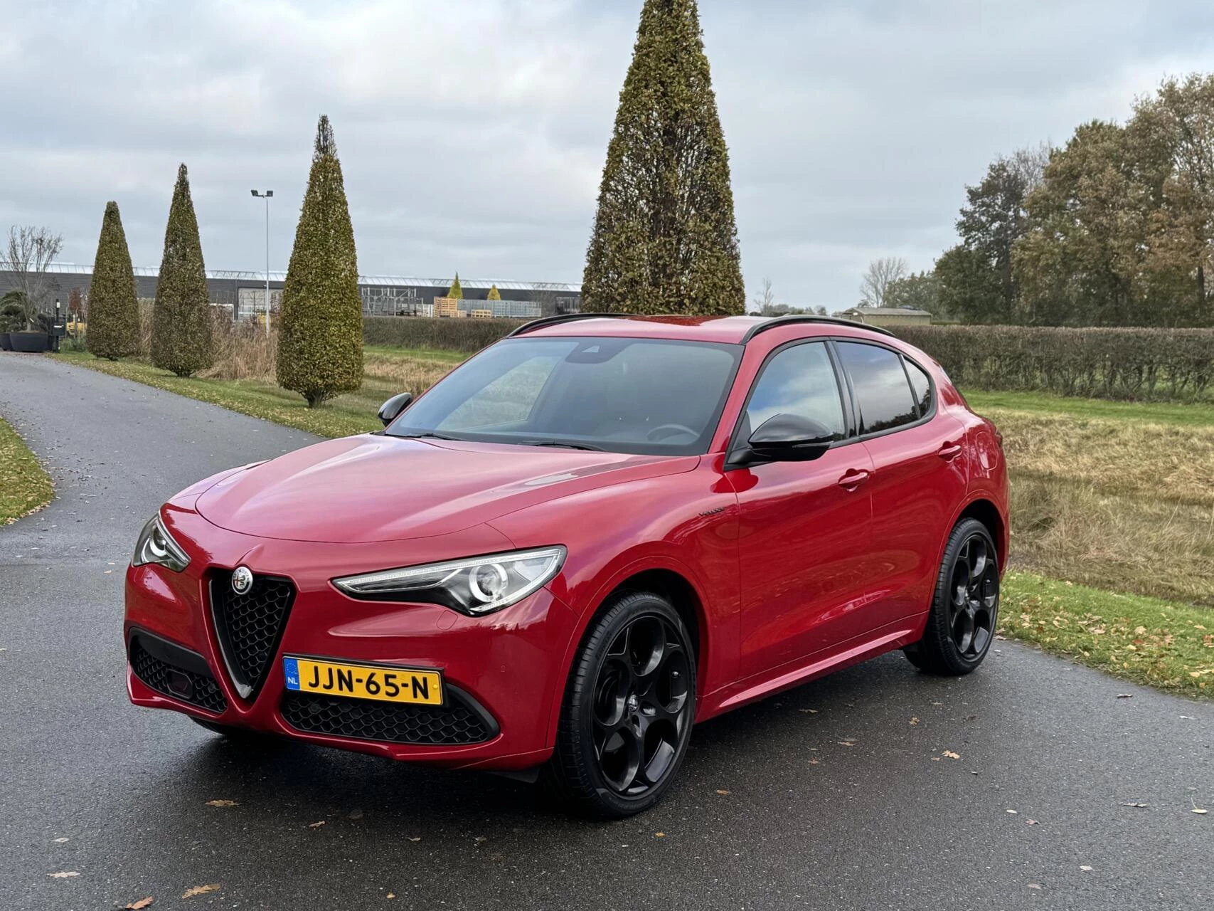Hoofdafbeelding Alfa Romeo Stelvio