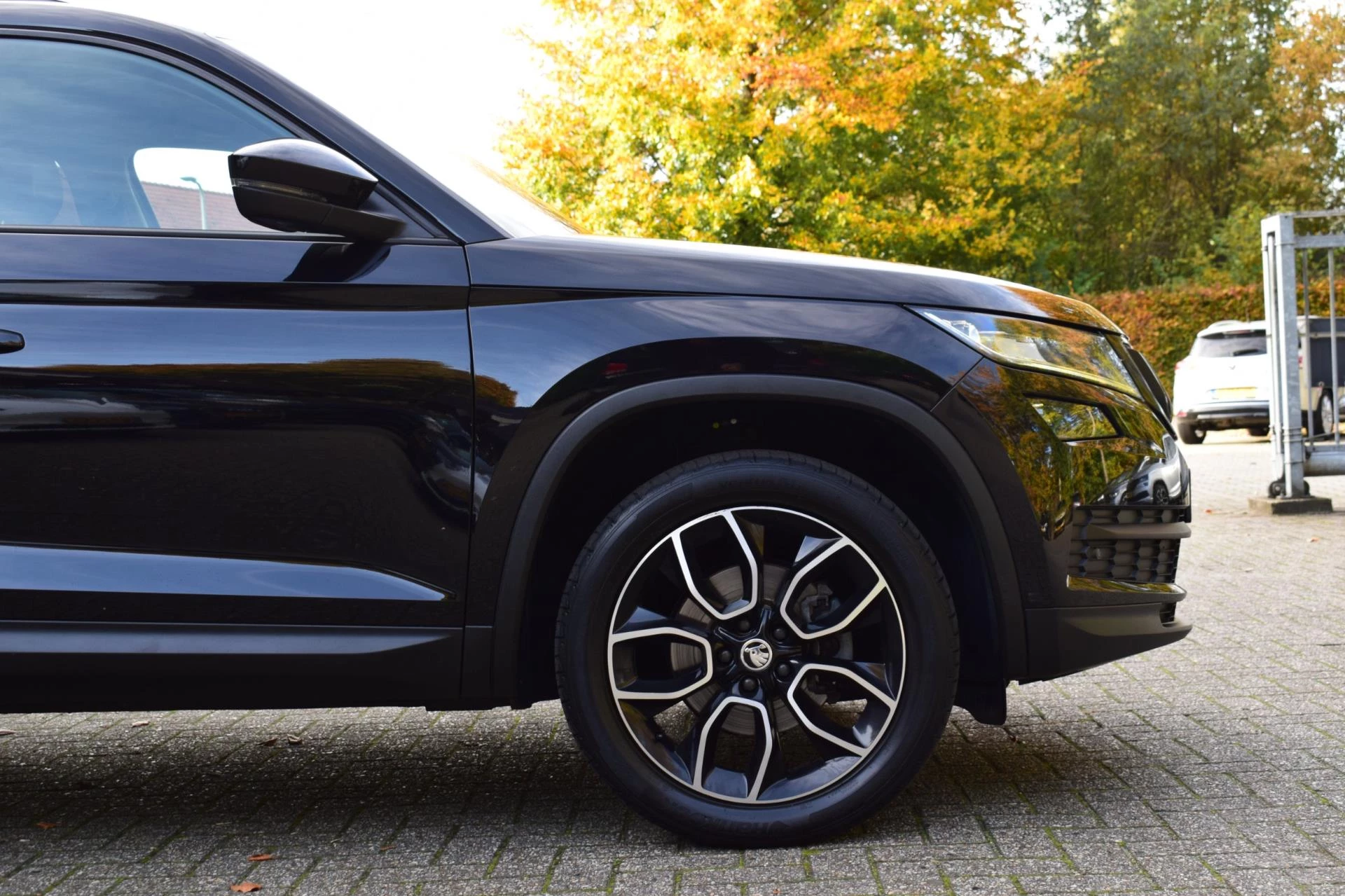 Hoofdafbeelding Škoda Kodiaq
