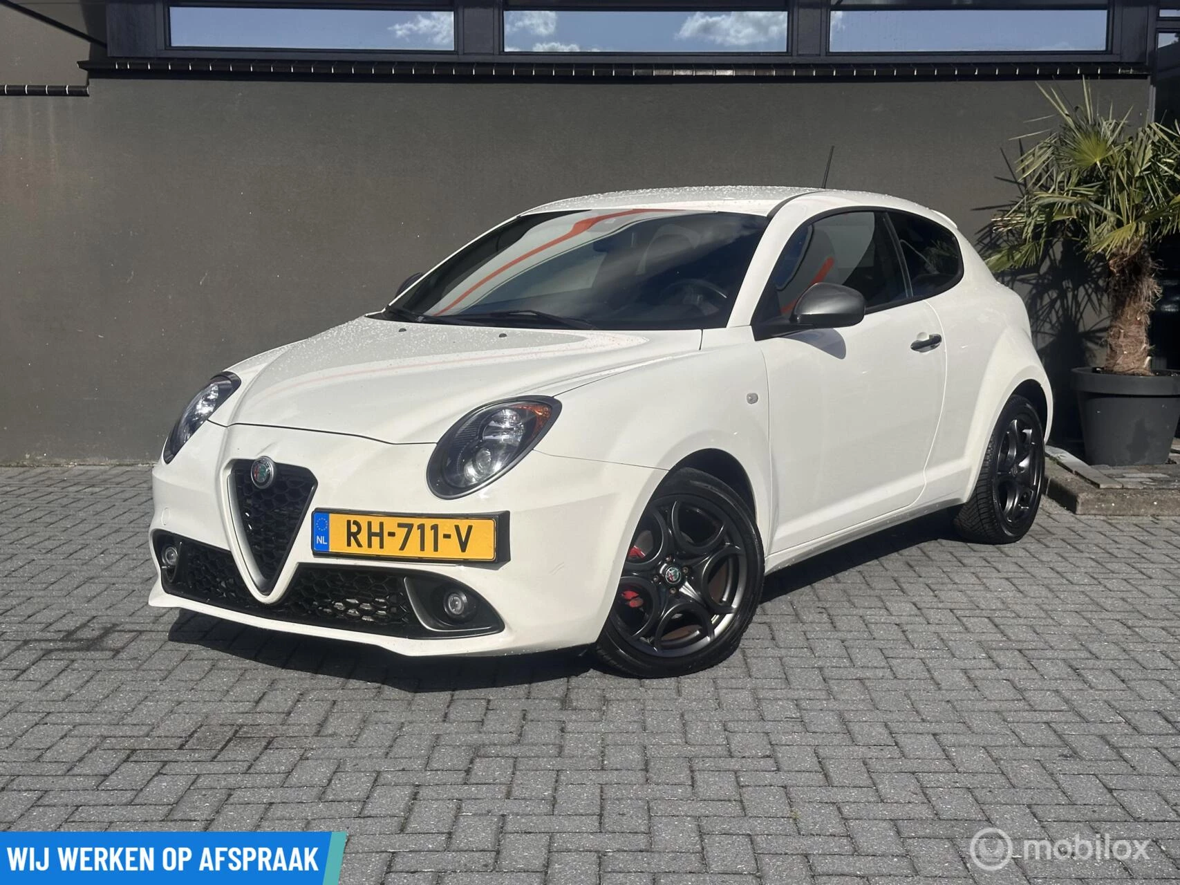 Hoofdafbeelding Alfa Romeo MiTo