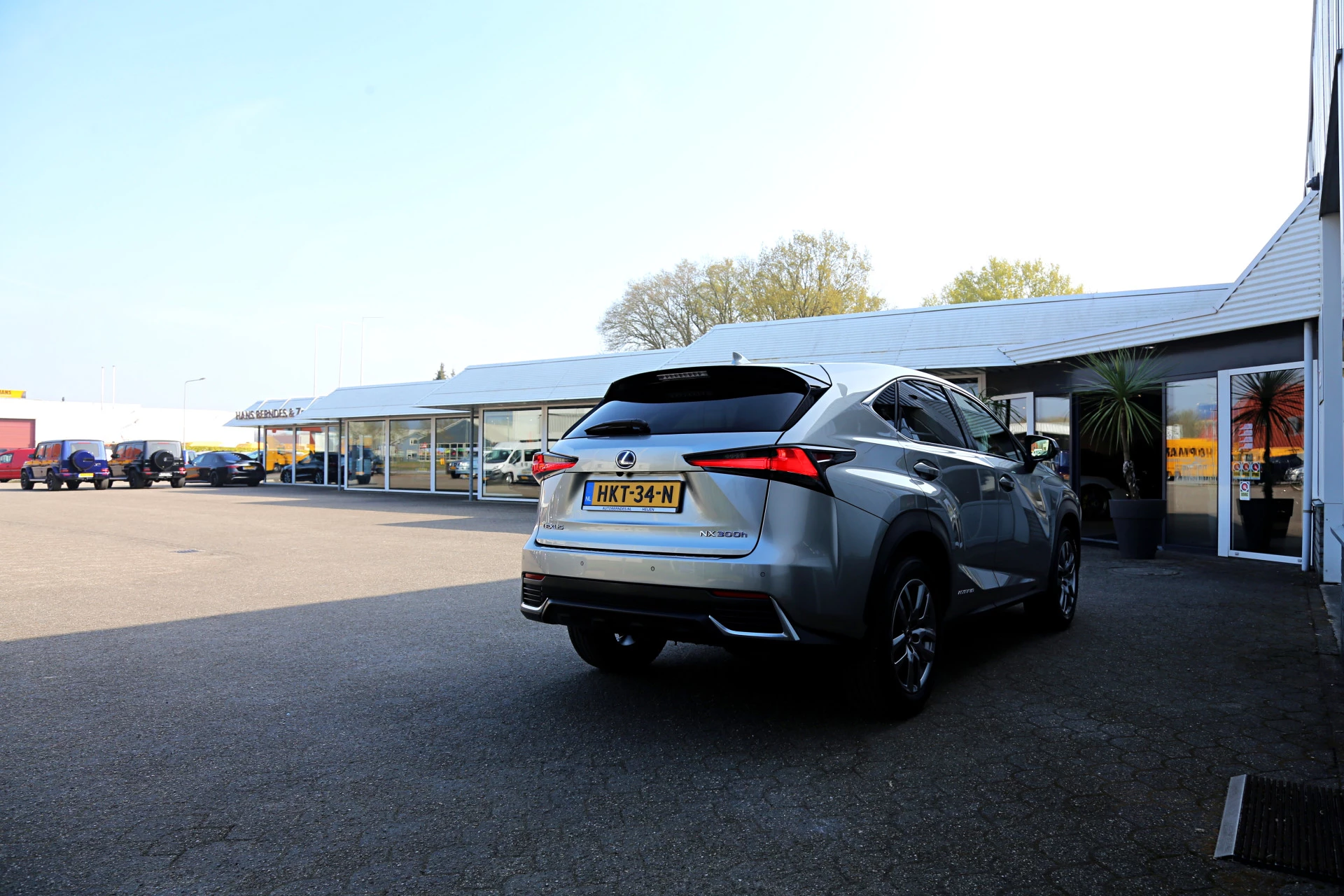 Hoofdafbeelding Lexus NX