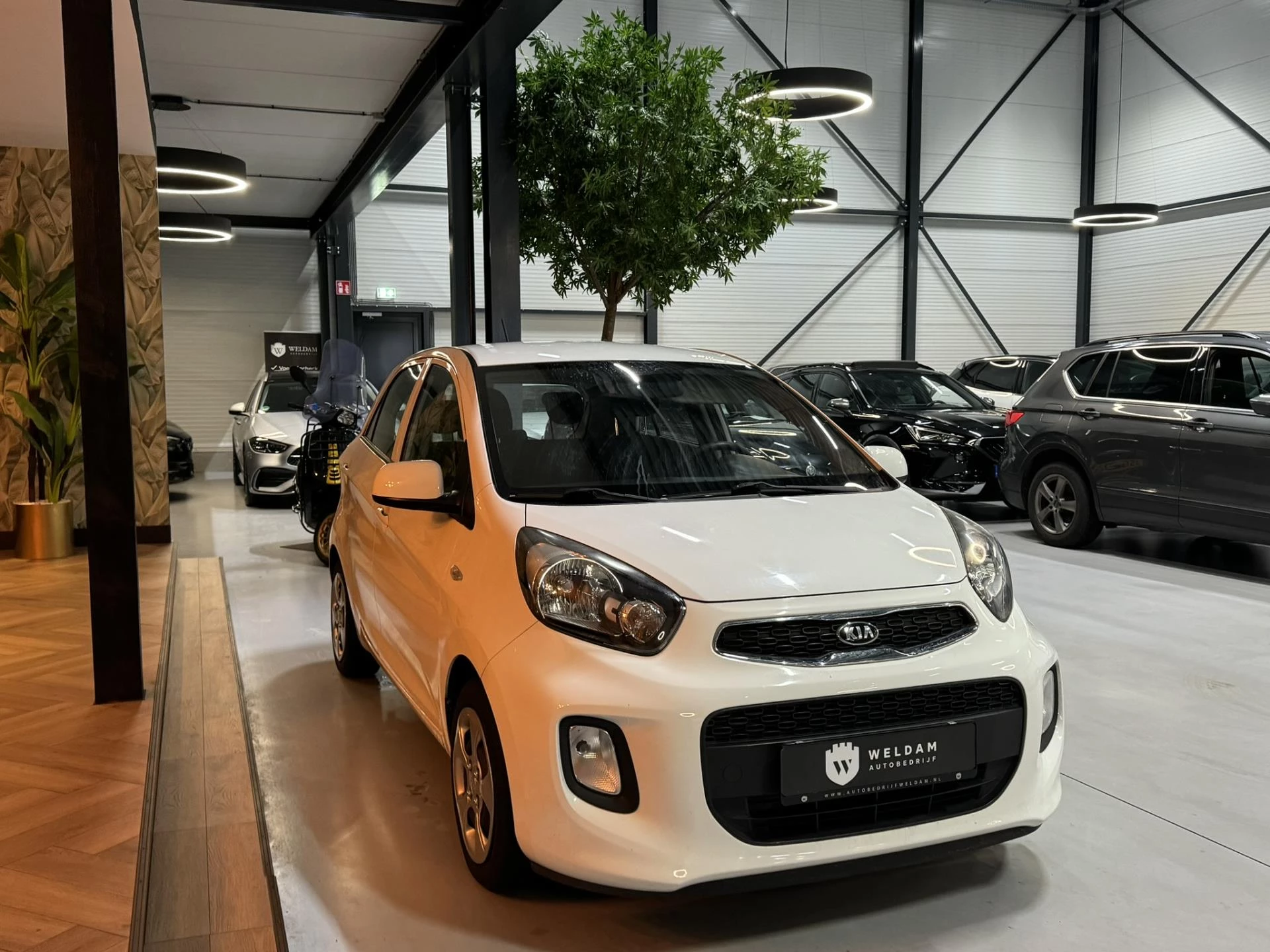 Hoofdafbeelding Kia Picanto