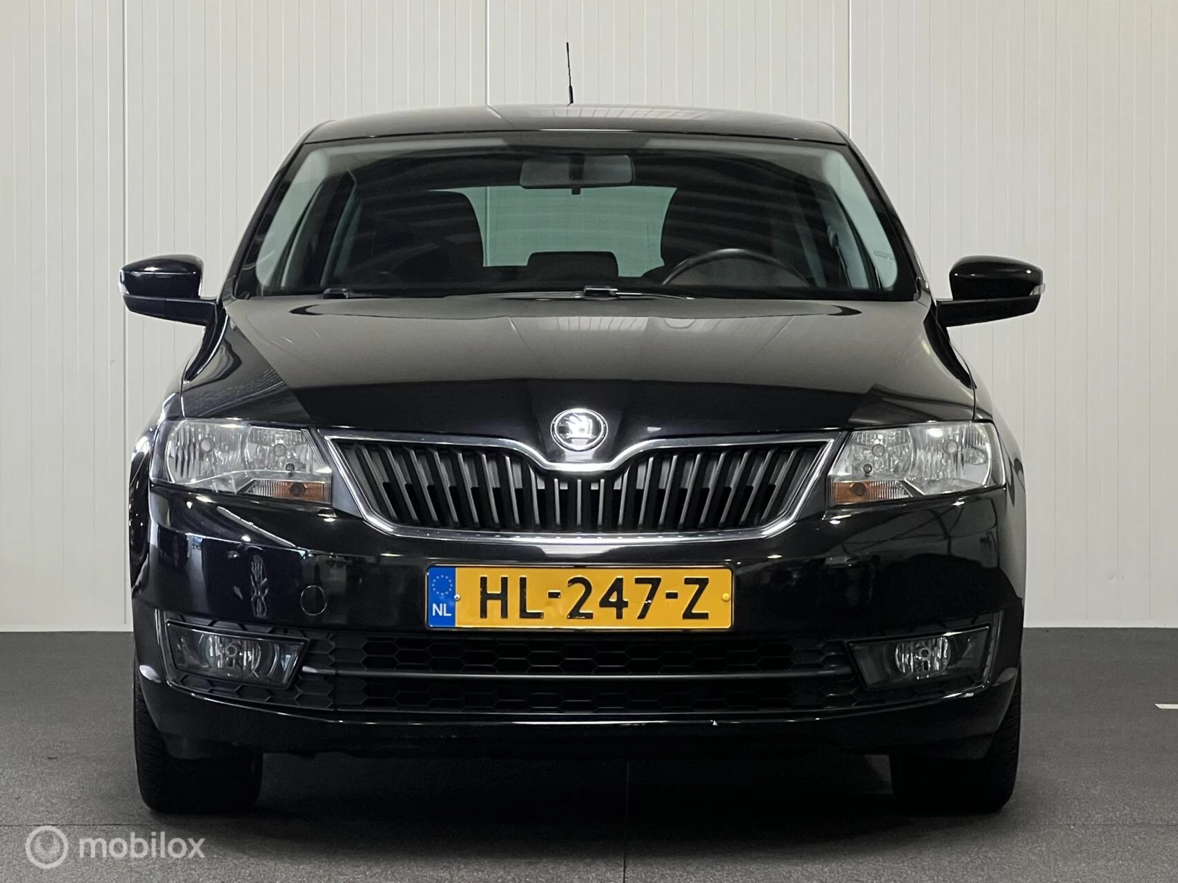Hoofdafbeelding Škoda Rapid