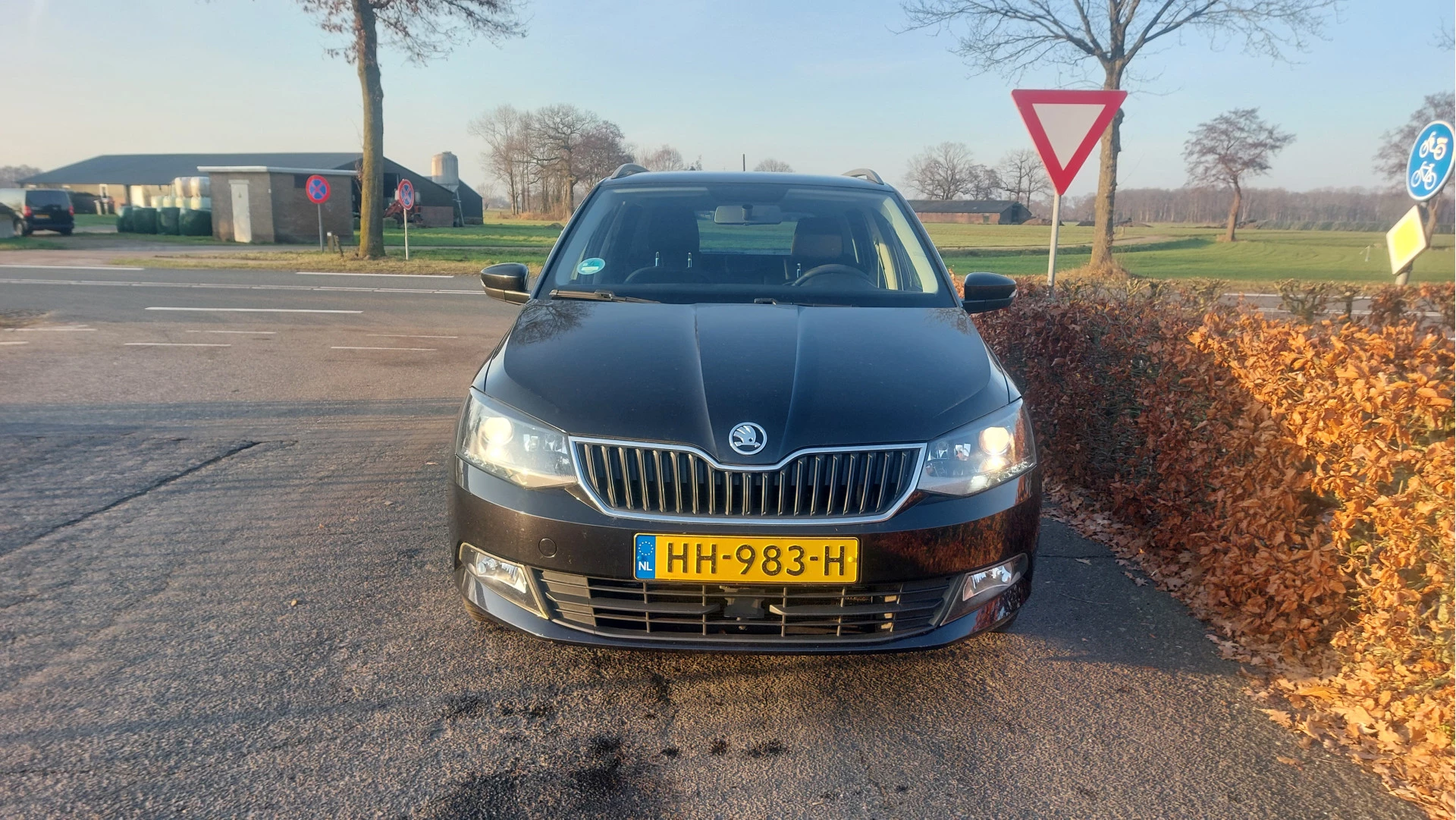 Hoofdafbeelding Škoda Fabia