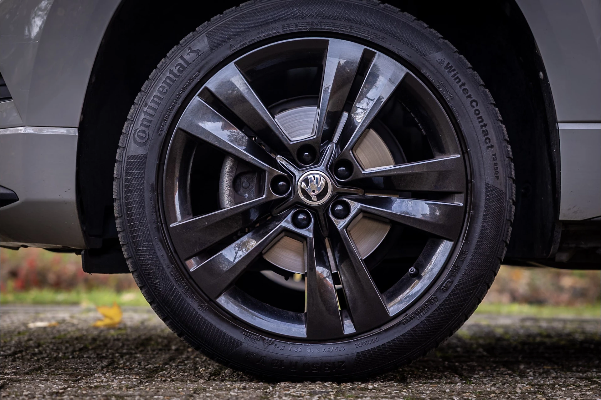 Hoofdafbeelding Škoda Karoq