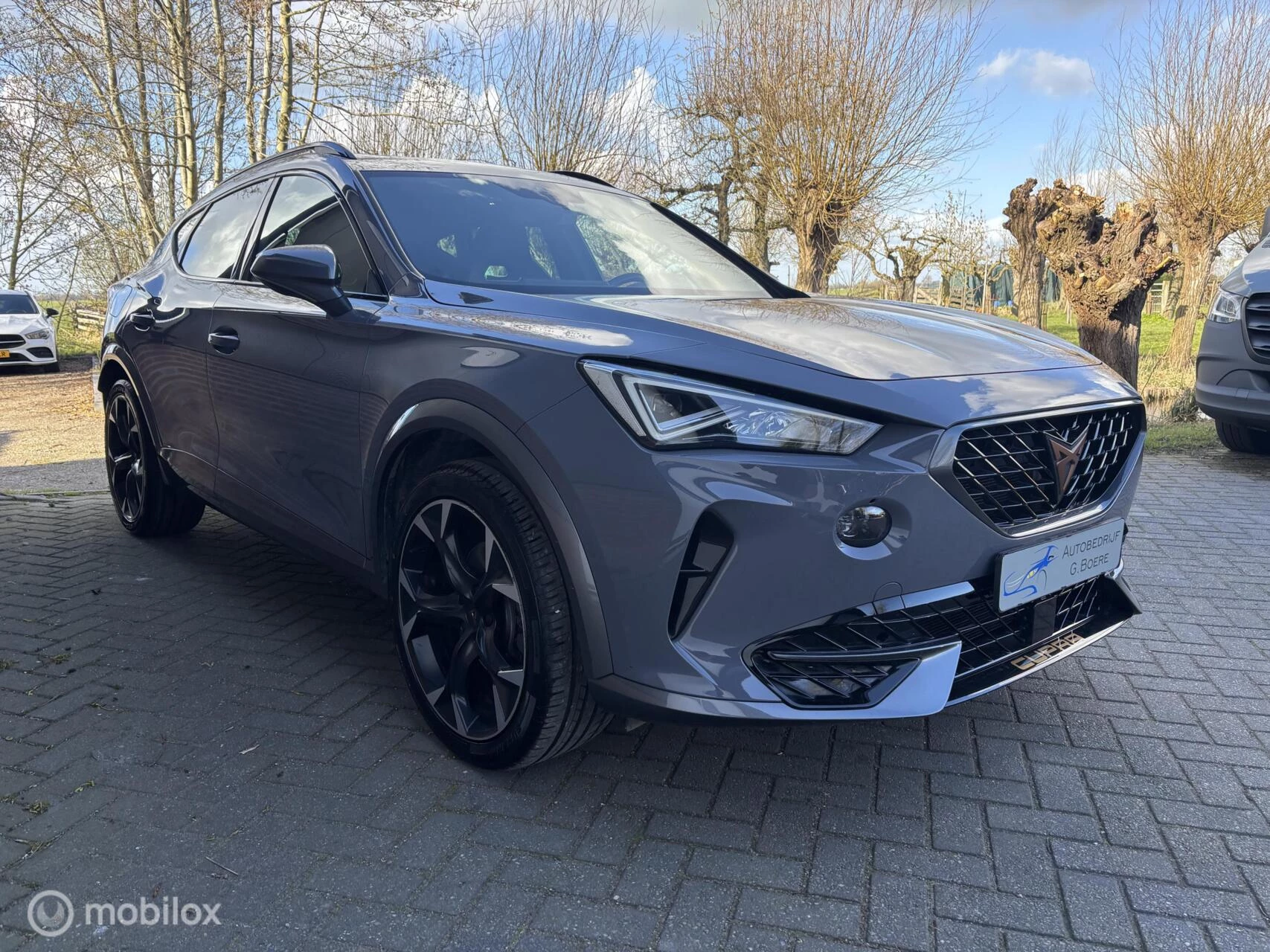 Hoofdafbeelding CUPRA Formentor