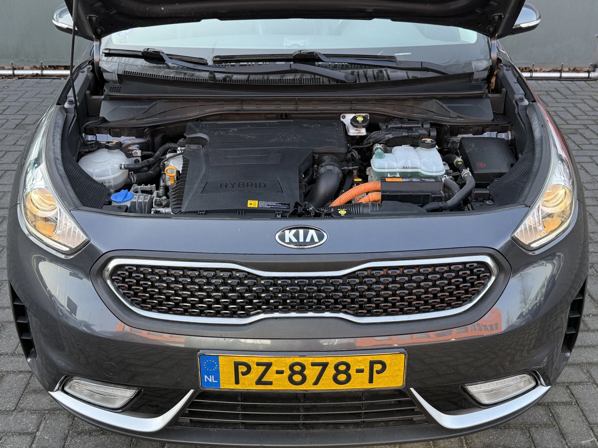 Hoofdafbeelding Kia Niro