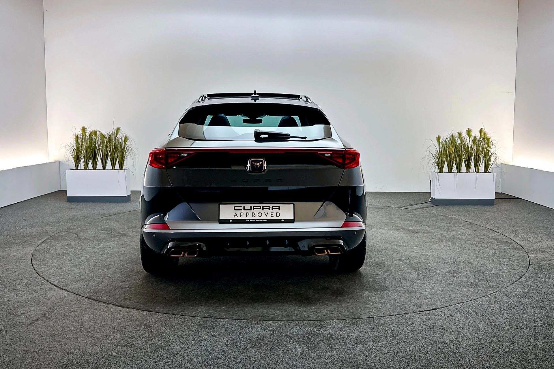 Hoofdafbeelding CUPRA Formentor