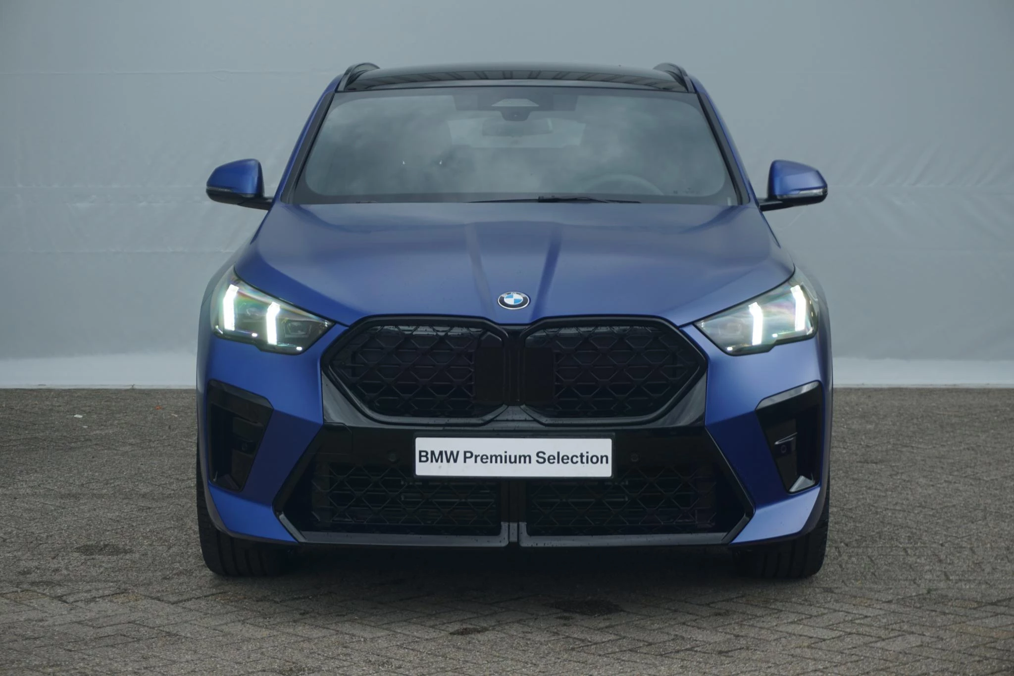 Hoofdafbeelding BMW X2