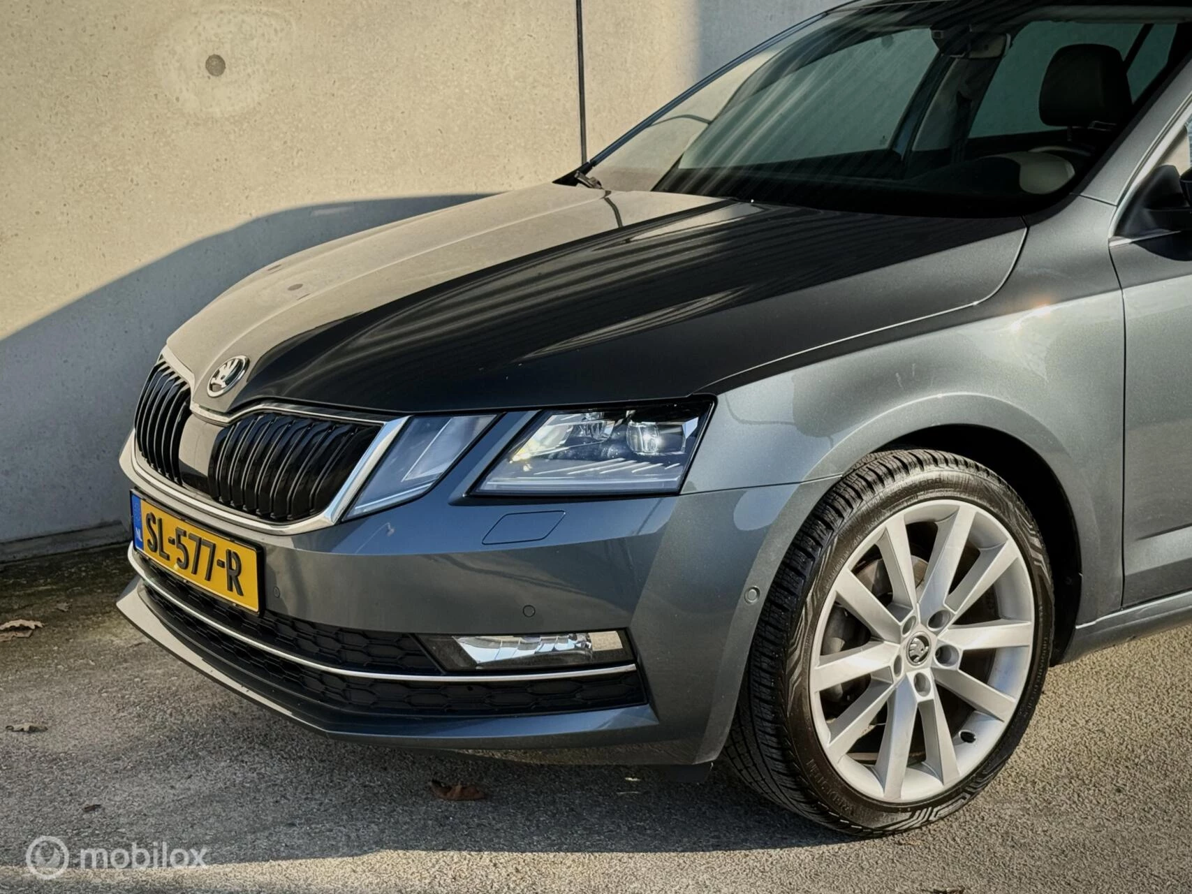 Hoofdafbeelding Škoda Octavia