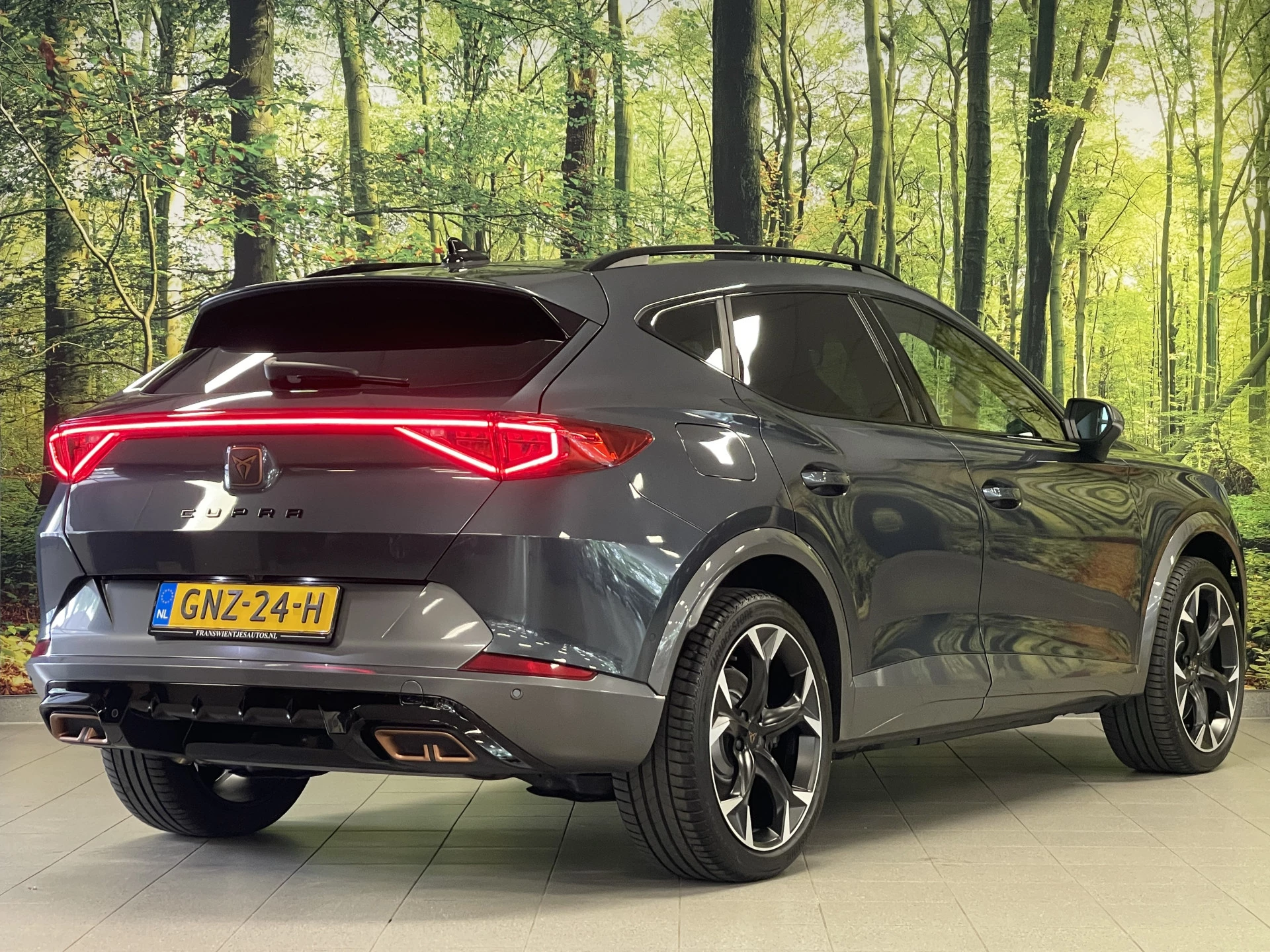 Hoofdafbeelding CUPRA Formentor