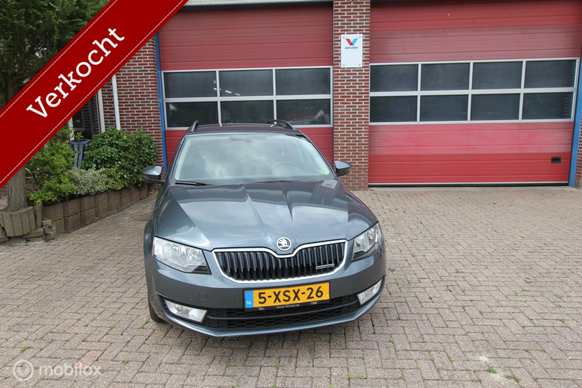 Hoofdafbeelding Škoda Octavia