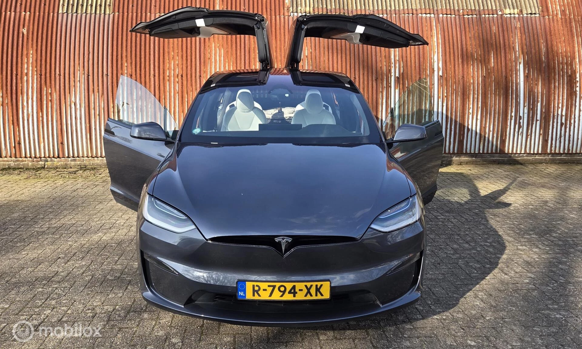 Hoofdafbeelding Tesla Model X