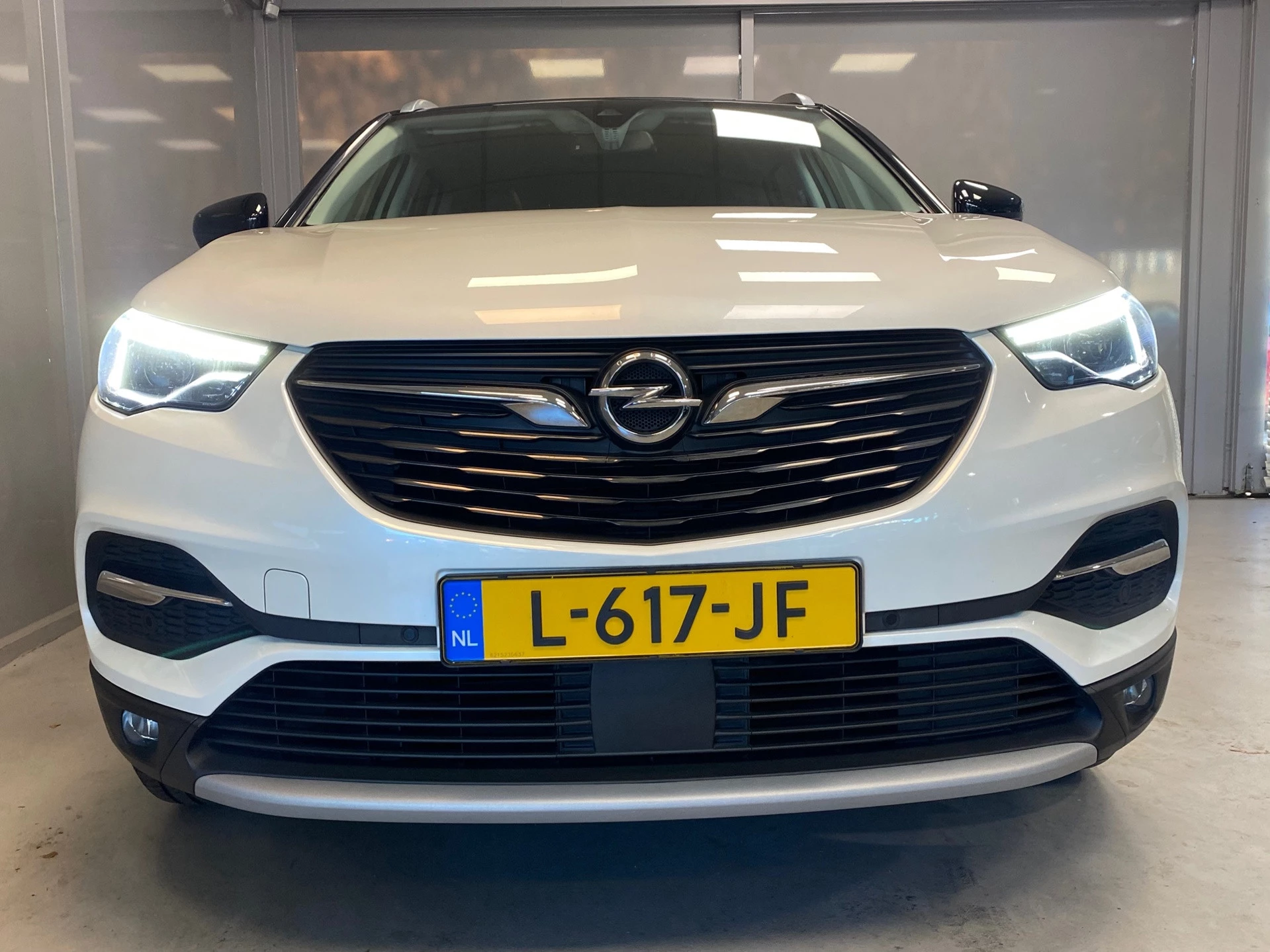 Hoofdafbeelding Opel Grandland X
