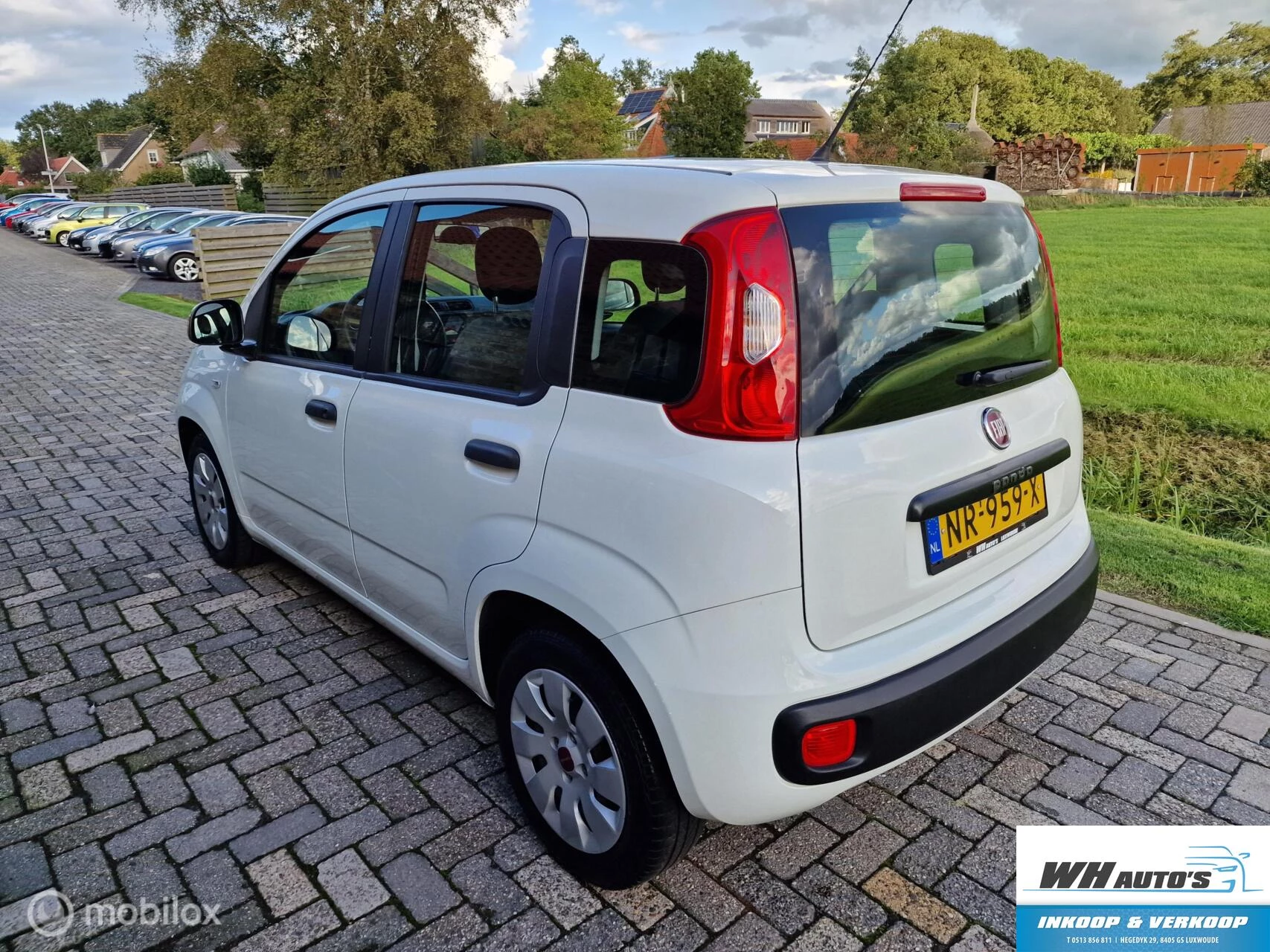 Hoofdafbeelding Fiat Panda