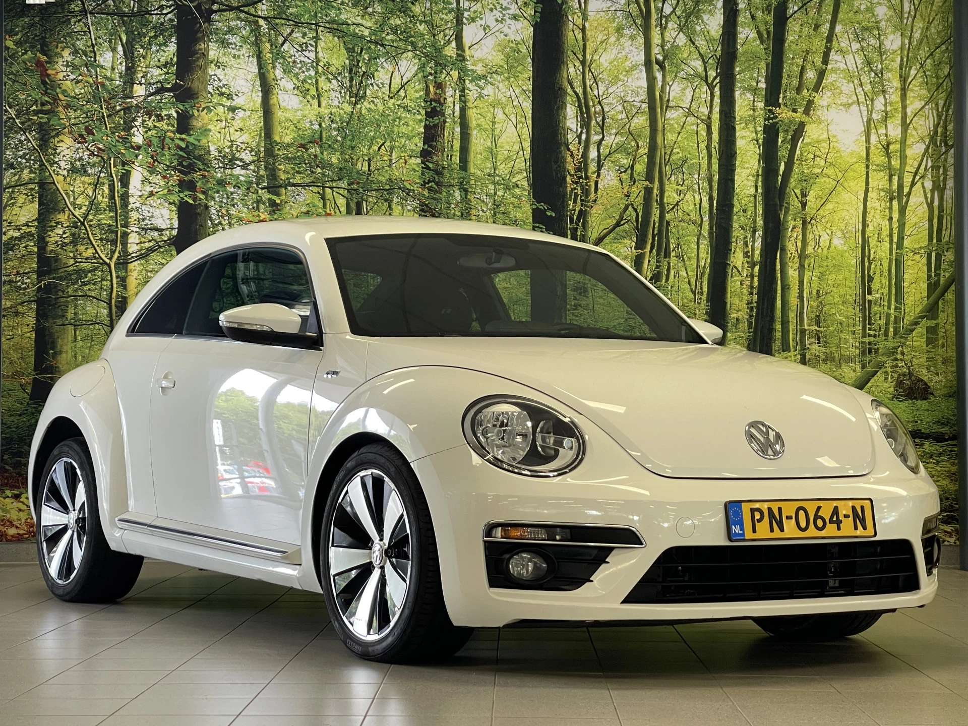 Hoofdafbeelding Volkswagen Beetle