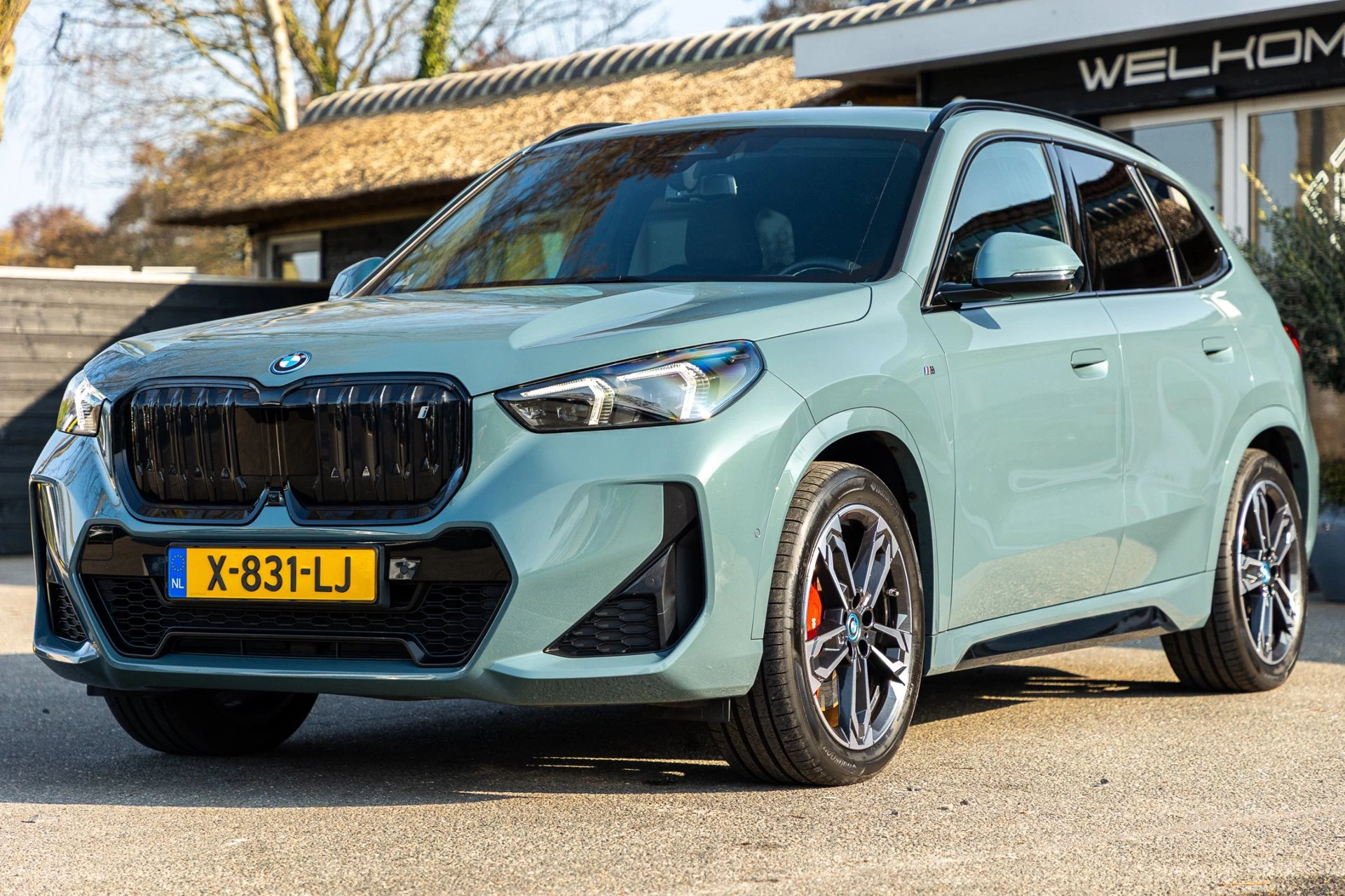 Hoofdafbeelding BMW iX1