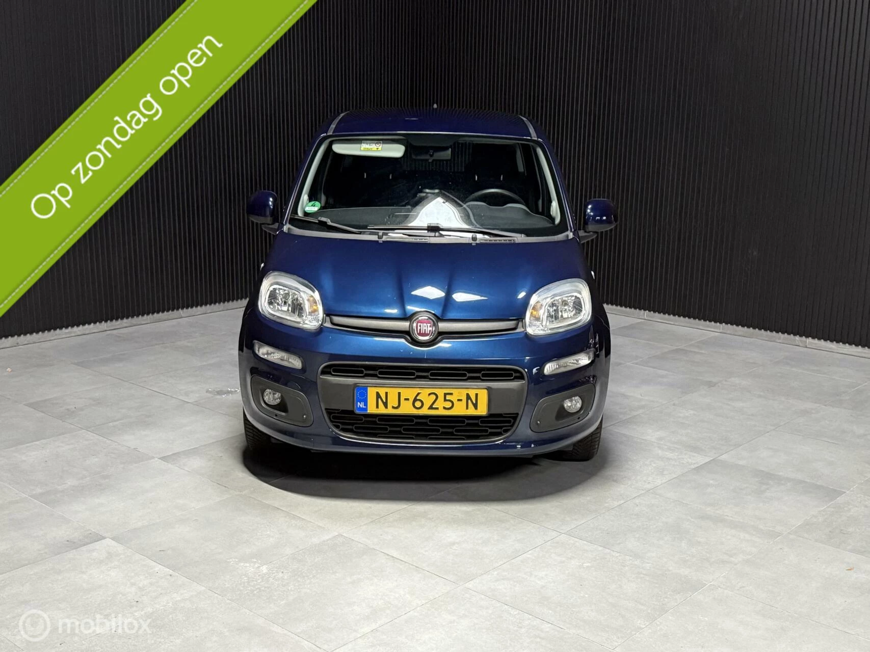 Hoofdafbeelding Fiat Panda