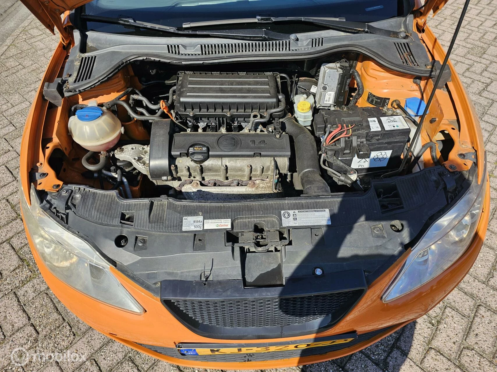 Hoofdafbeelding SEAT Ibiza