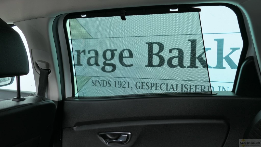 Hoofdafbeelding Renault Grand Scénic
