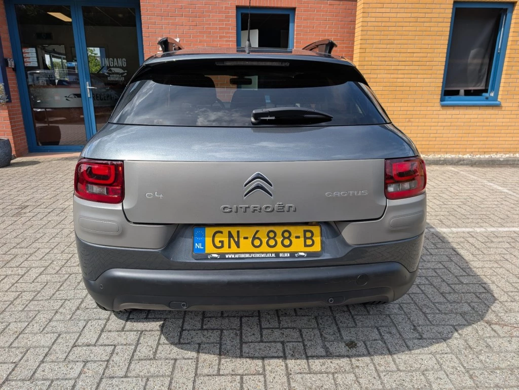 Hoofdafbeelding Citroën C4 Cactus