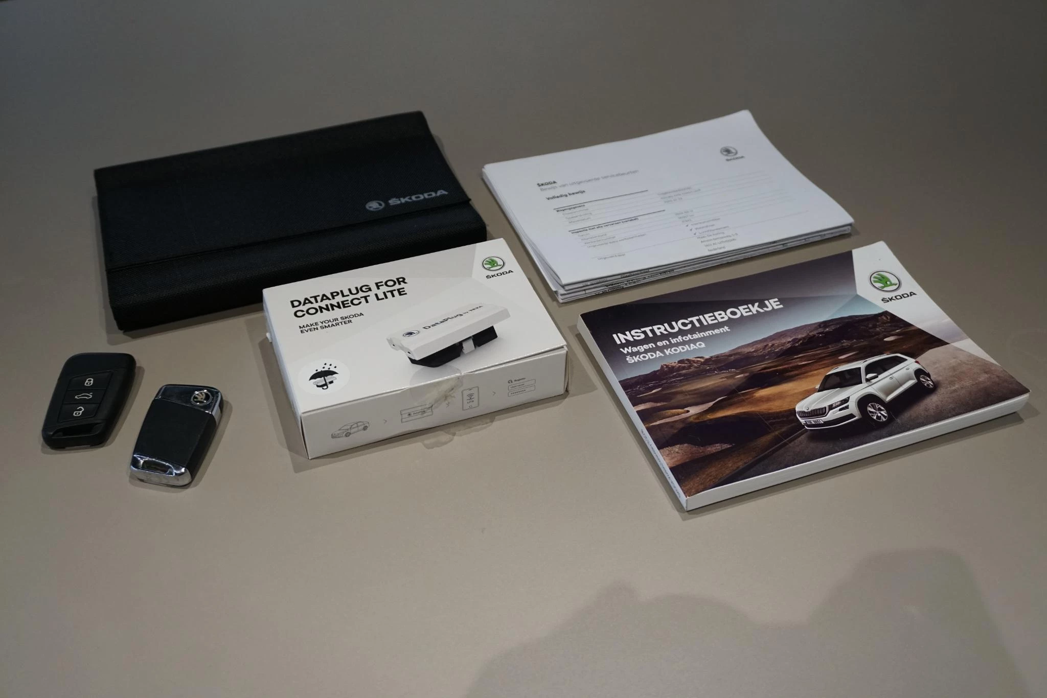 Hoofdafbeelding Škoda Kodiaq