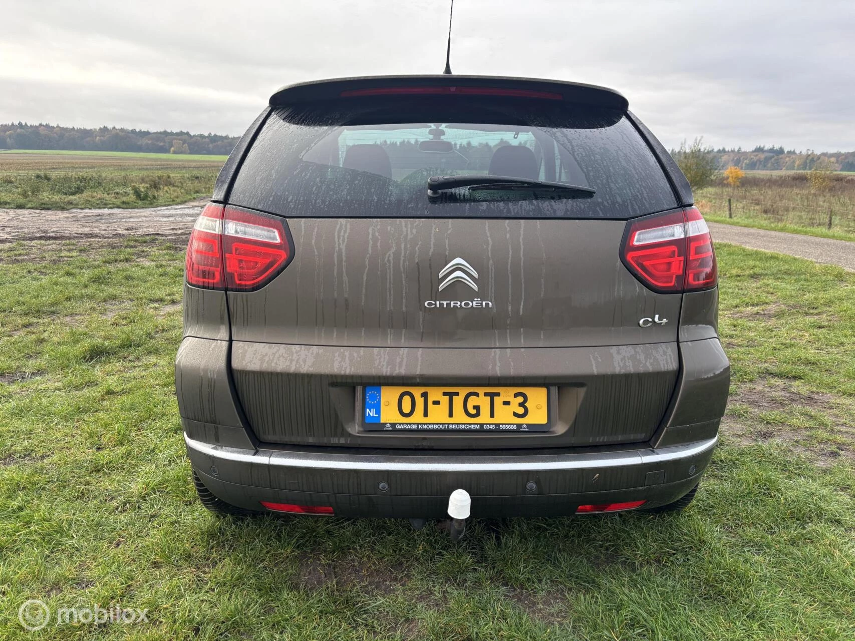 Hoofdafbeelding Citroën C4 Picasso