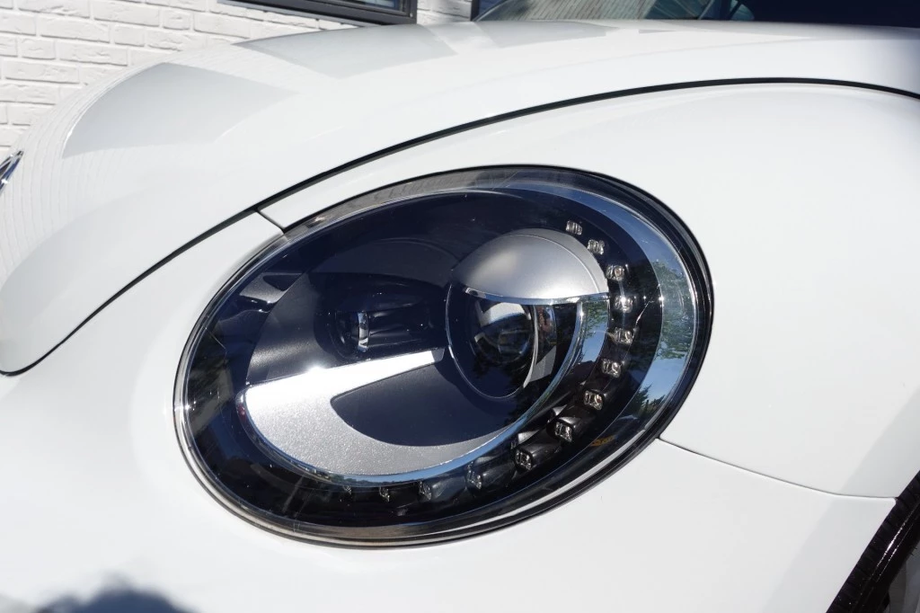 Hoofdafbeelding Volkswagen Beetle