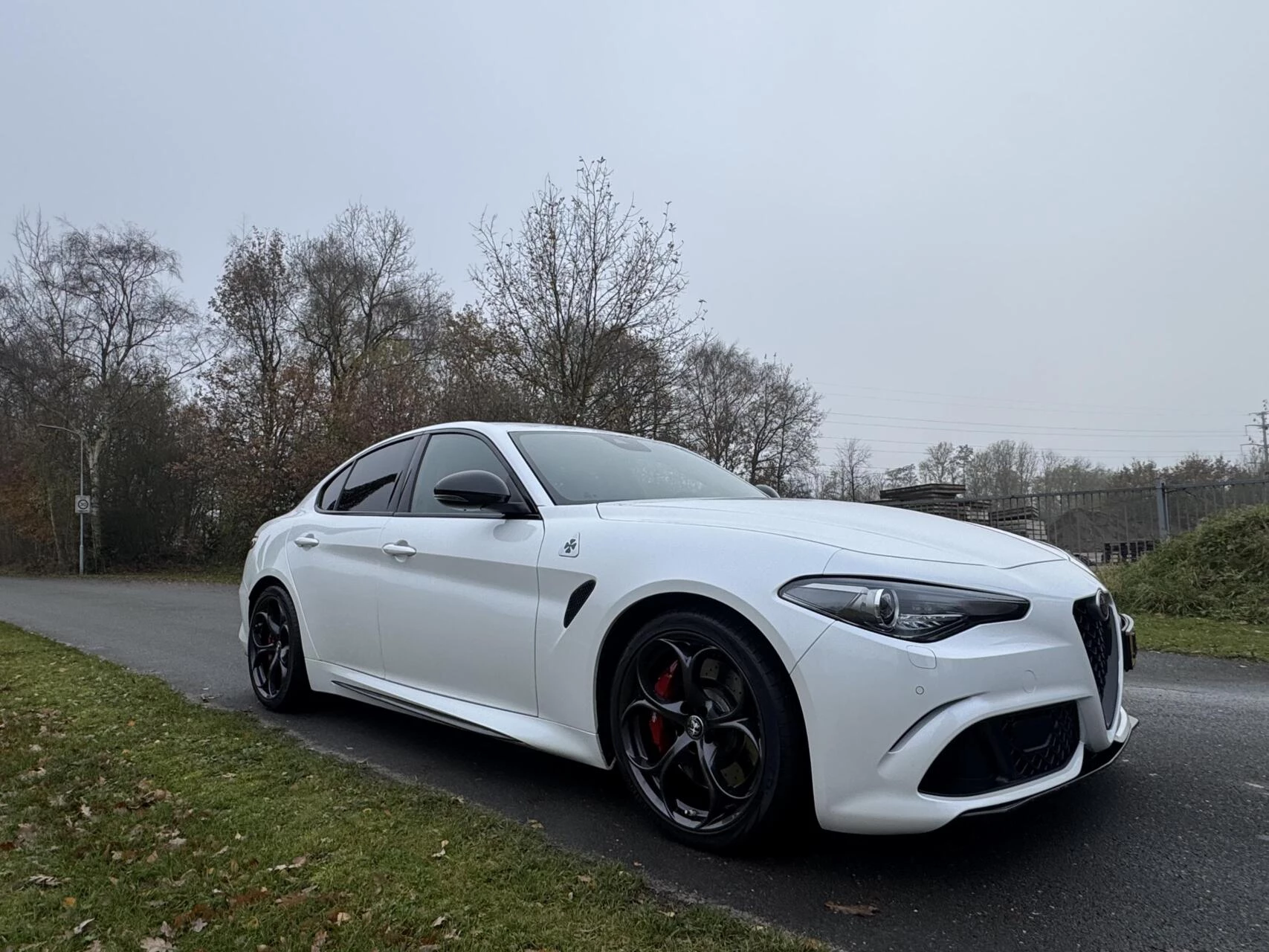 Hoofdafbeelding Alfa Romeo Giulia