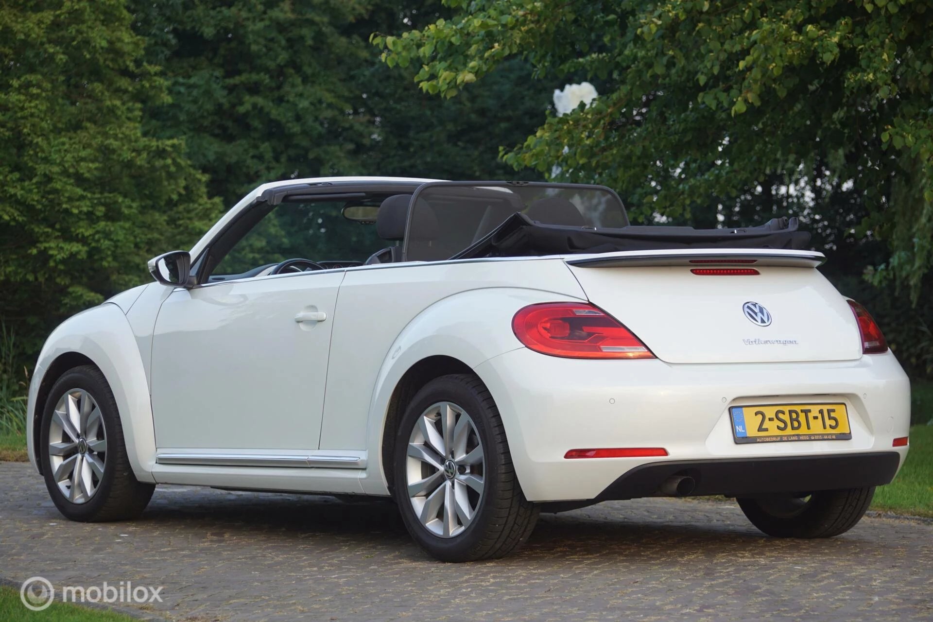 Hoofdafbeelding Volkswagen Beetle