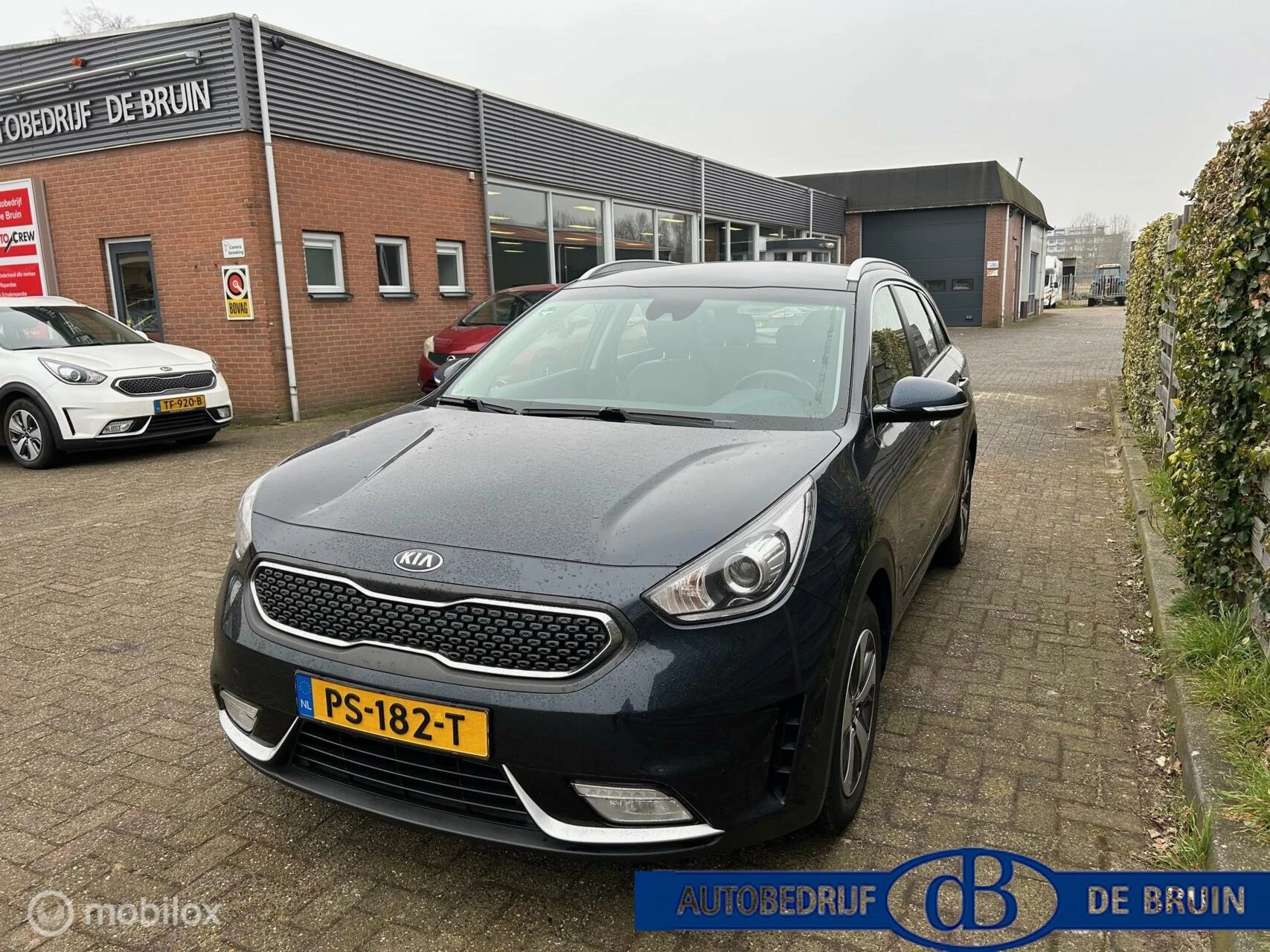 Hoofdafbeelding Kia Niro