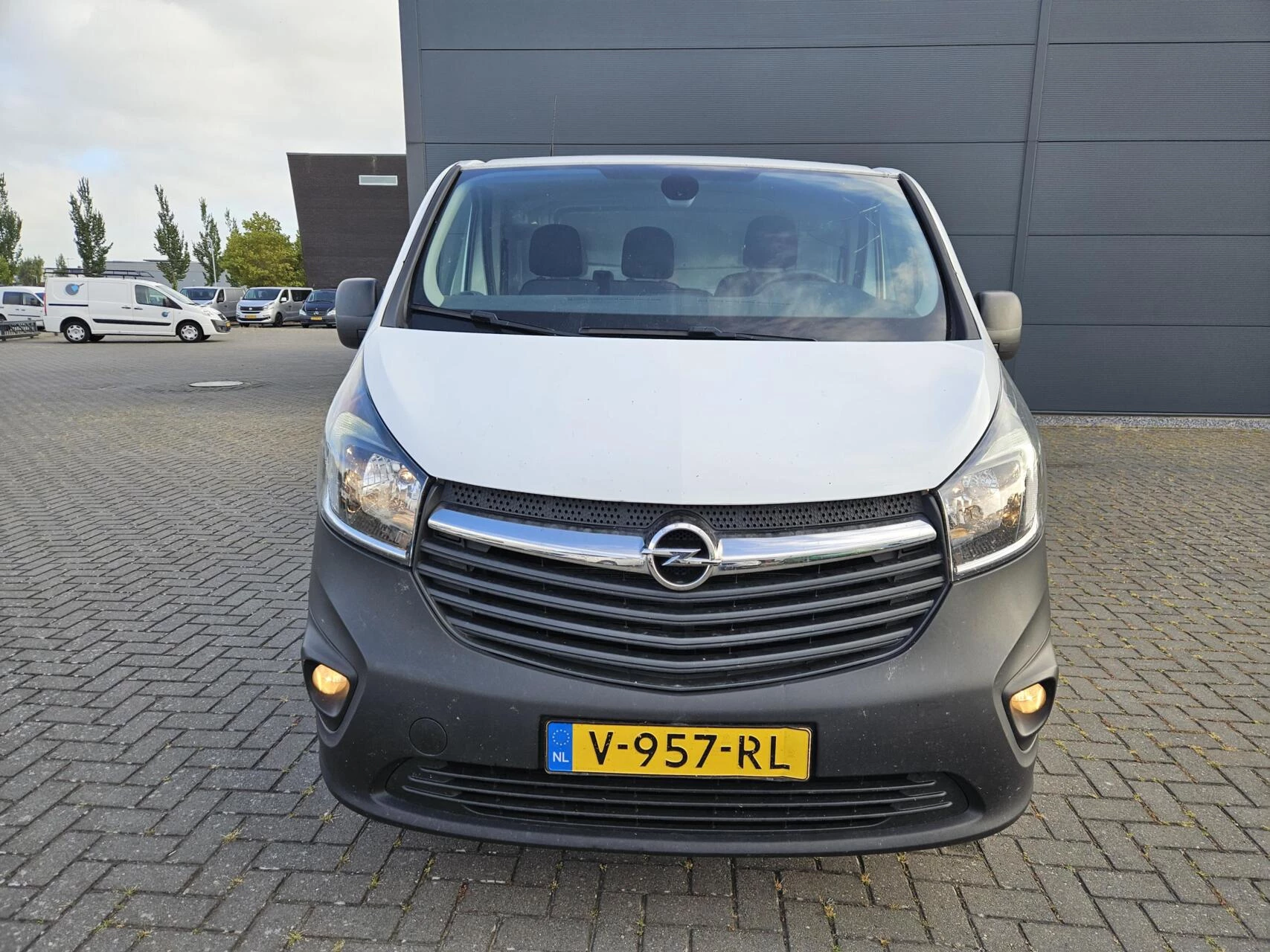 Hoofdafbeelding Opel Vivaro