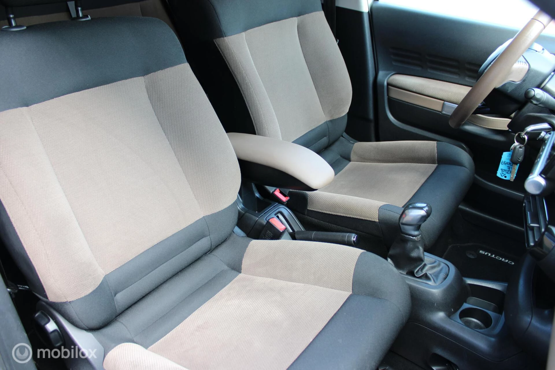 Hoofdafbeelding Citroën C4 Cactus