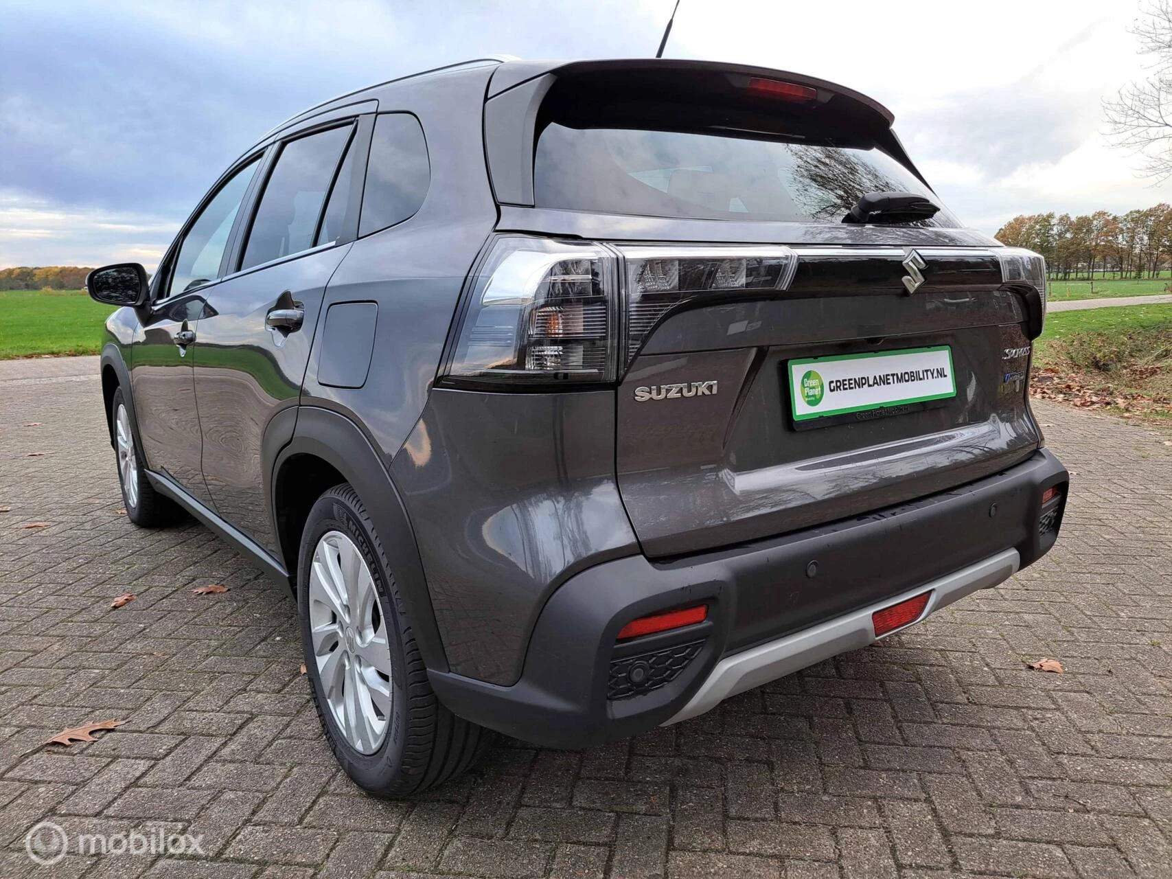 Hoofdafbeelding Suzuki S-Cross