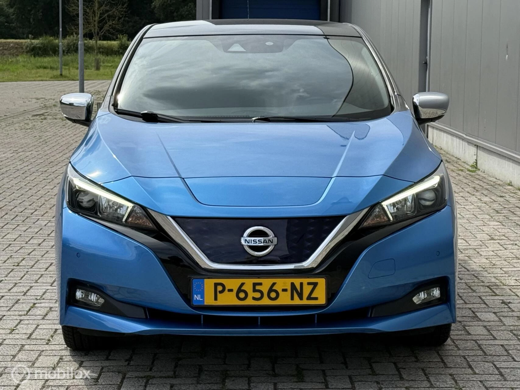 Hoofdafbeelding Nissan Leaf