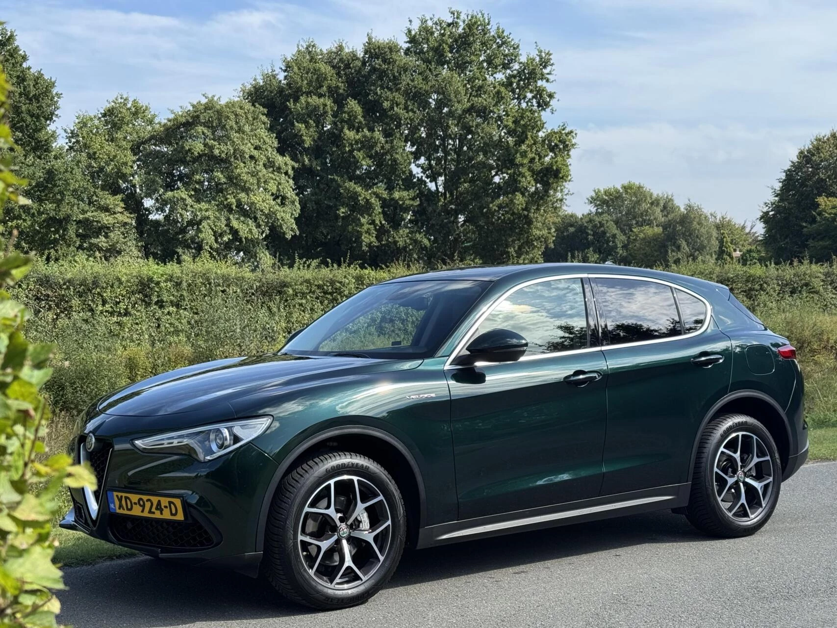 Hoofdafbeelding Alfa Romeo Stelvio