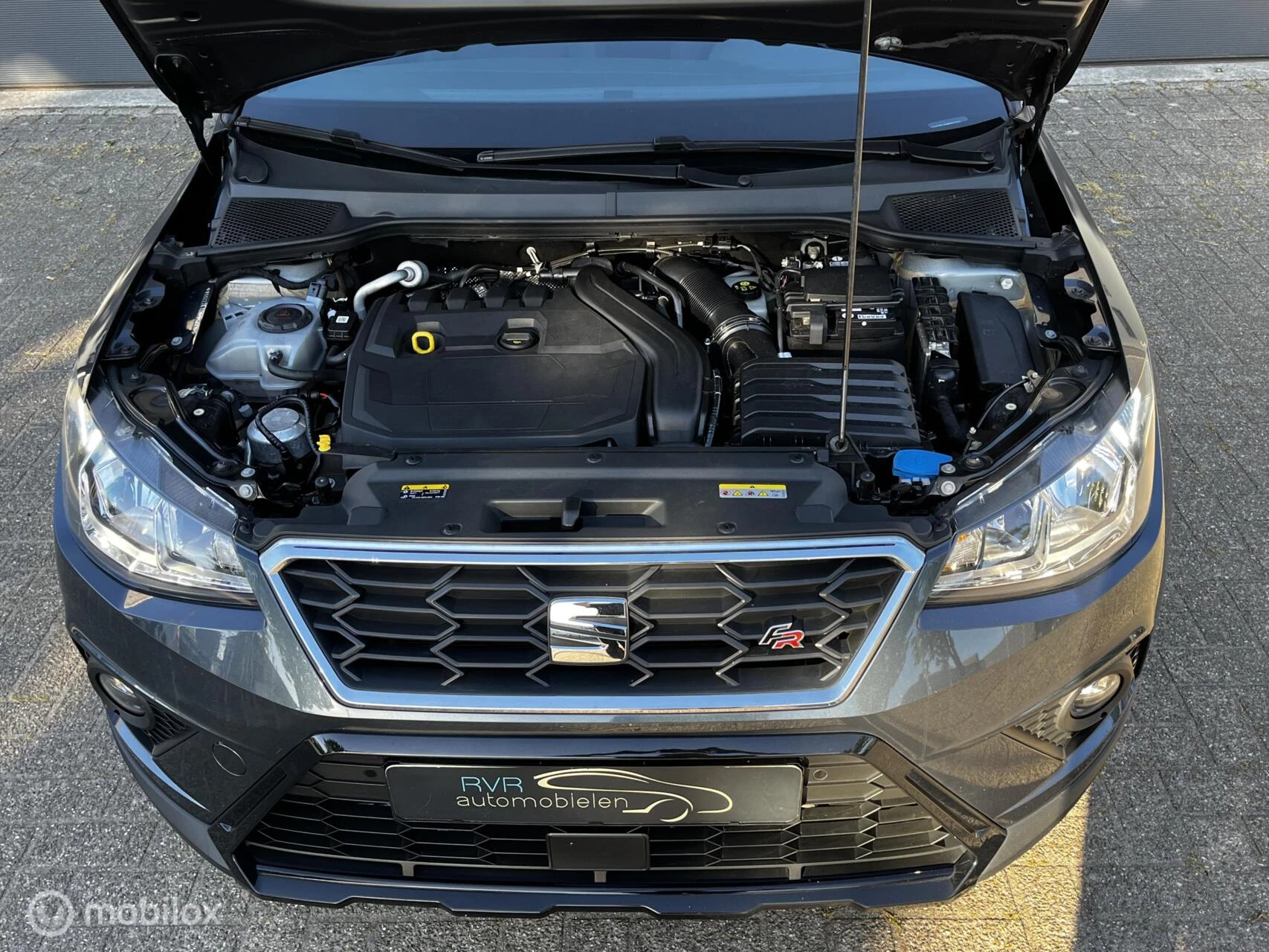 Hoofdafbeelding SEAT Arona