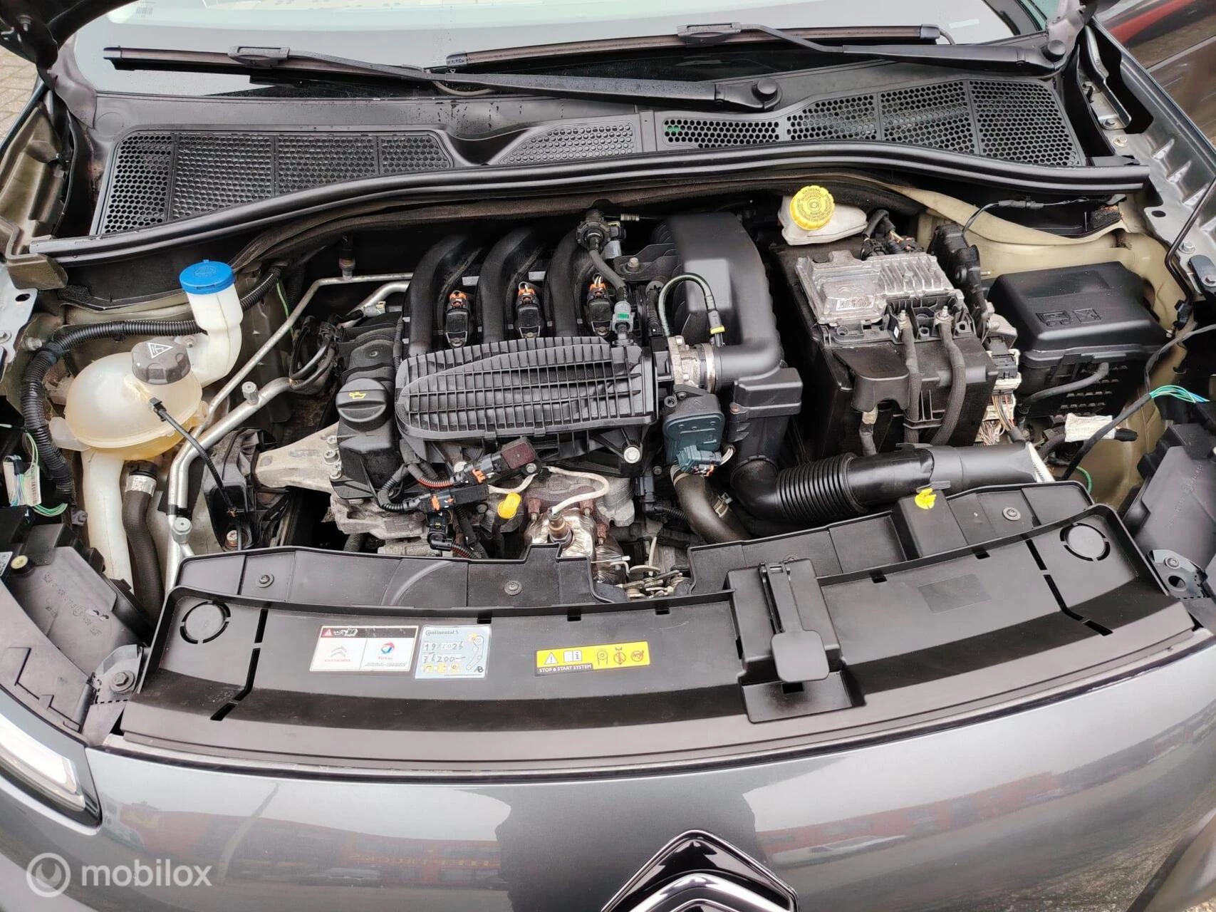 Hoofdafbeelding Citroën C4 Cactus