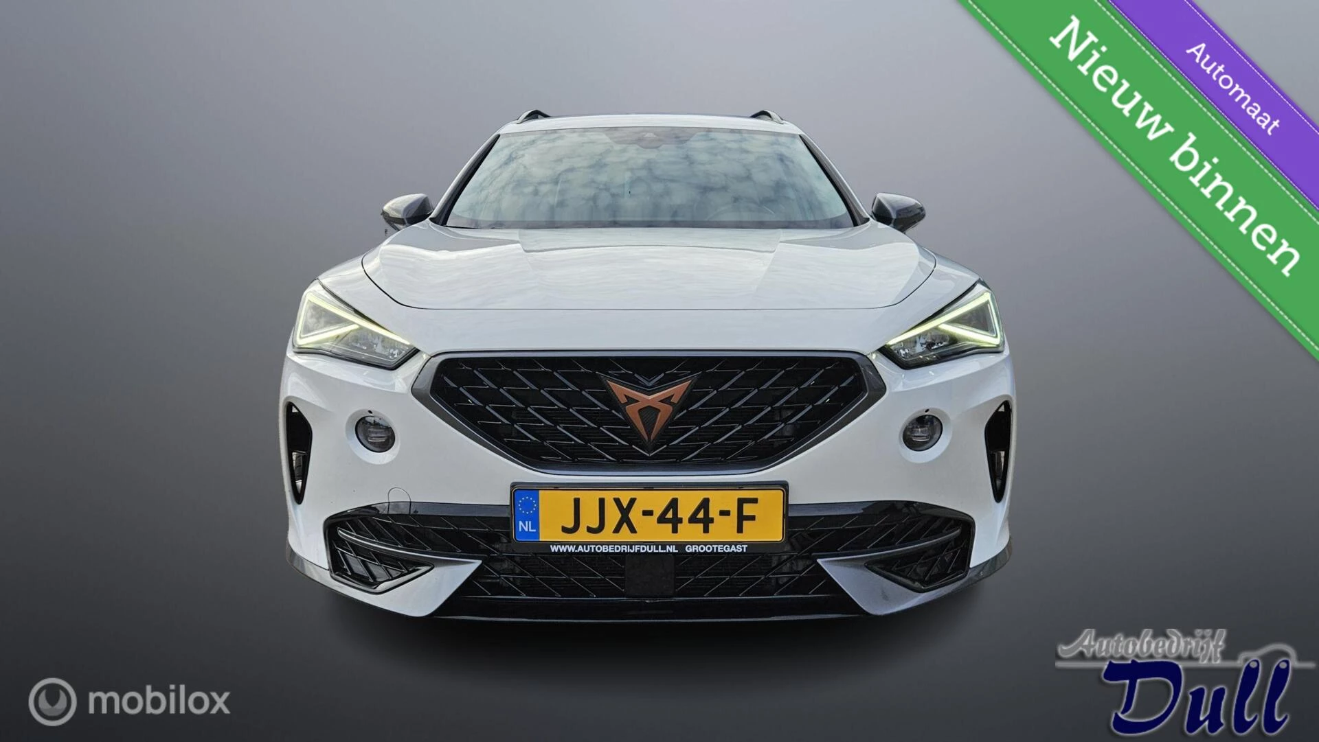 Hoofdafbeelding CUPRA Formentor