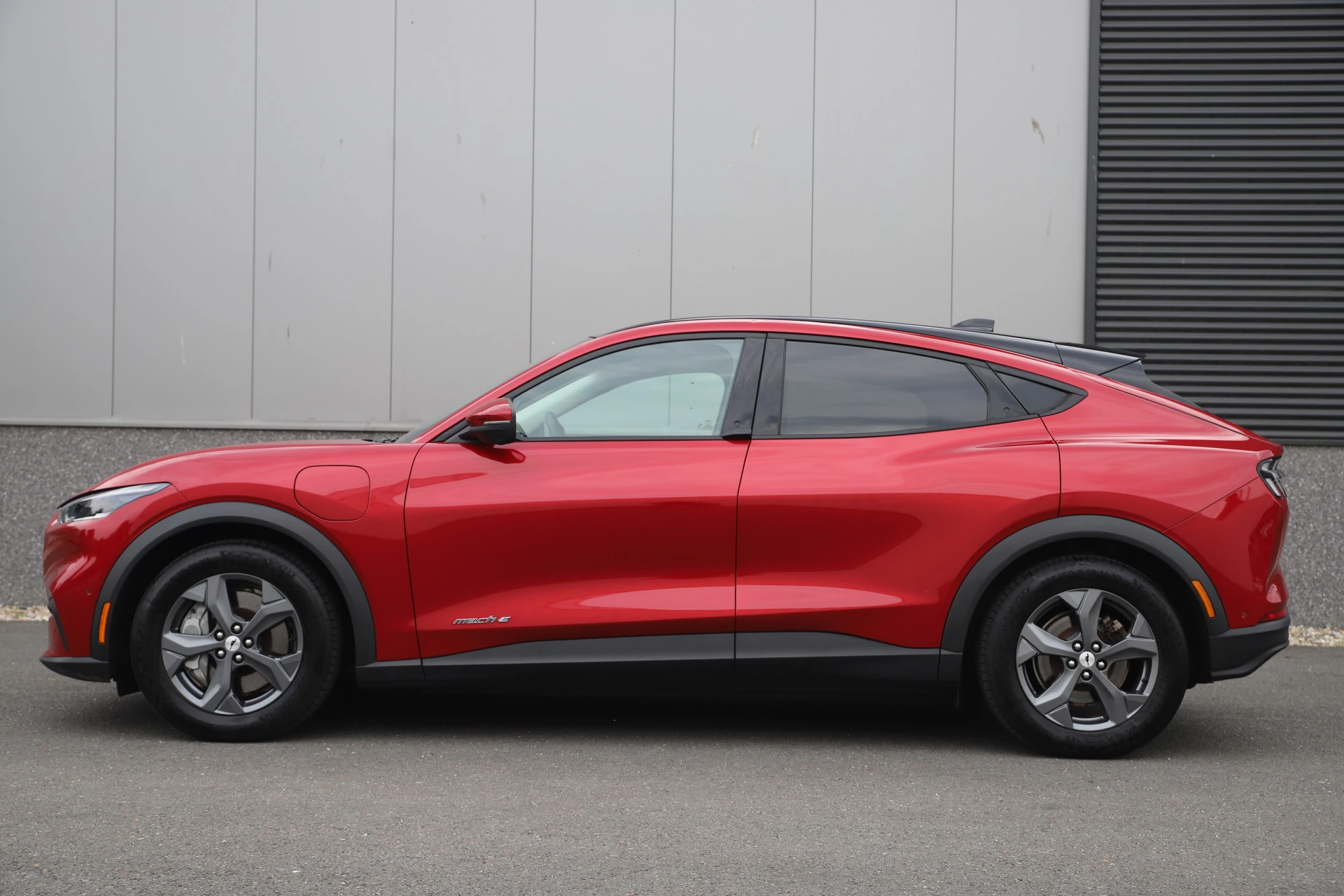 Hoofdafbeelding Ford Mustang Mach-E