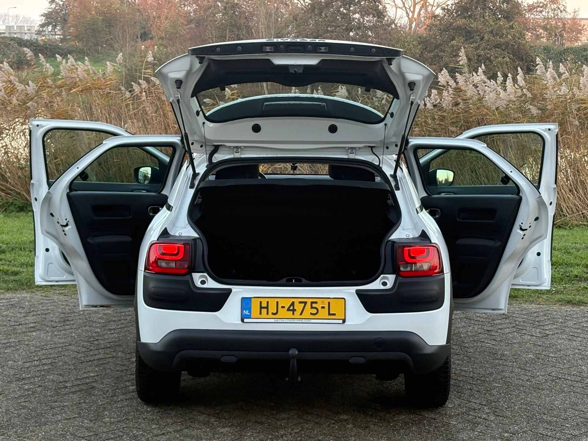 Hoofdafbeelding Citroën C4 Cactus