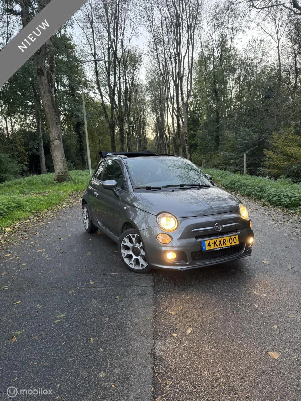 Hoofdafbeelding Fiat 500