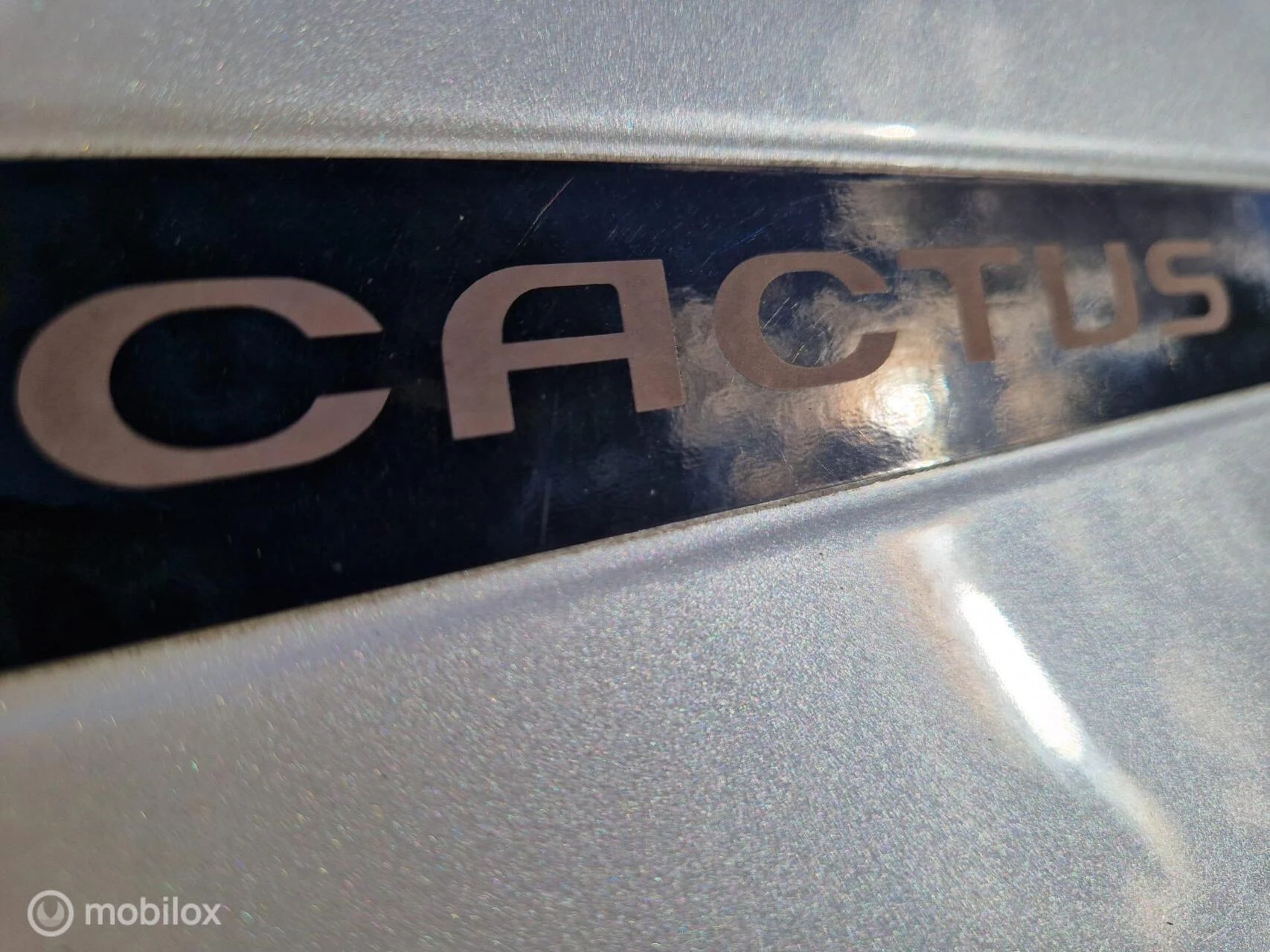 Hoofdafbeelding Citroën C4 Cactus