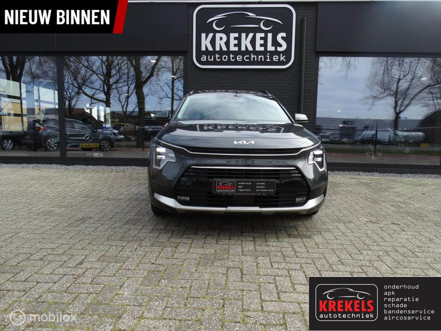 Hoofdafbeelding Kia Niro