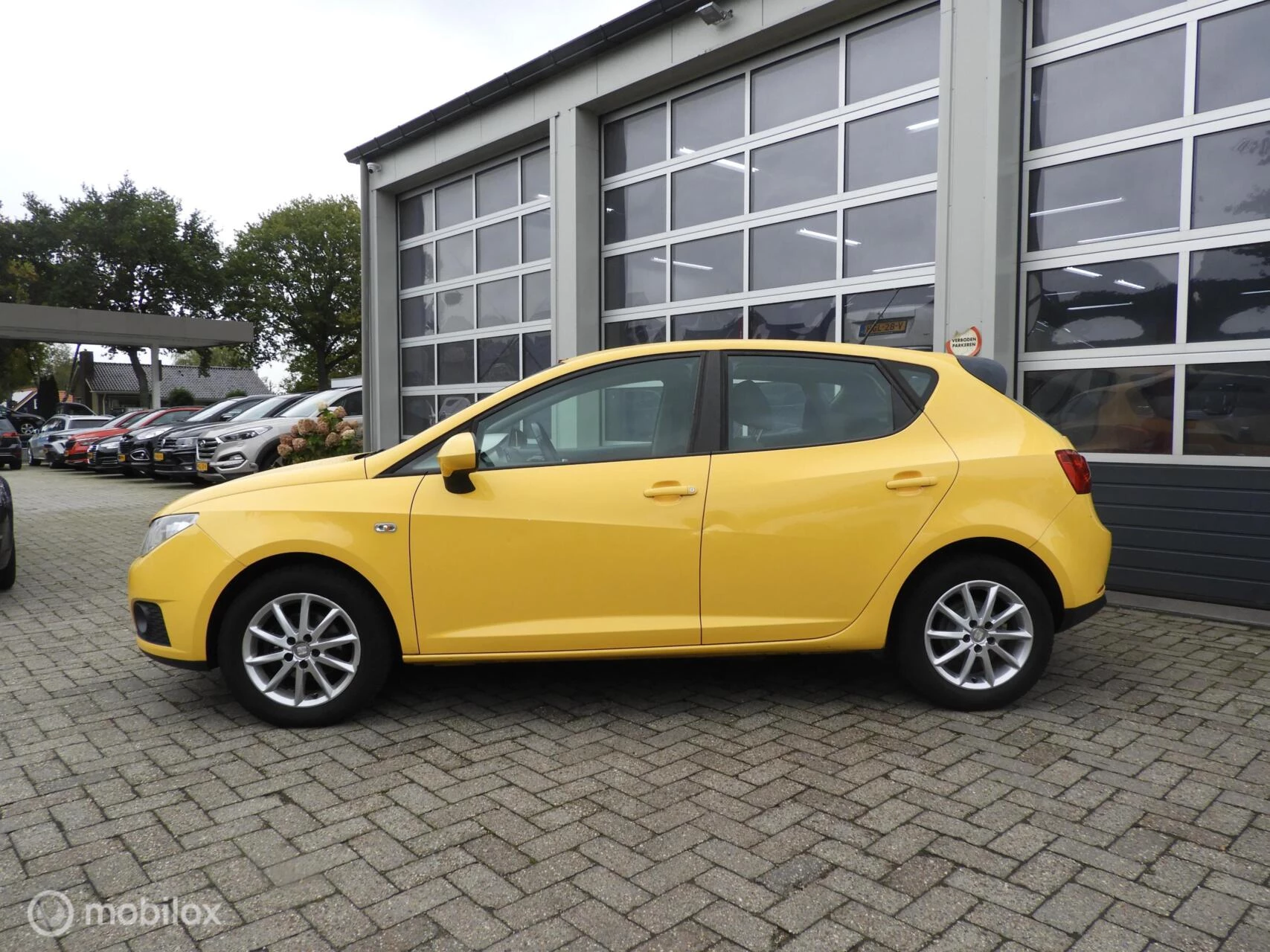 Hoofdafbeelding SEAT Ibiza