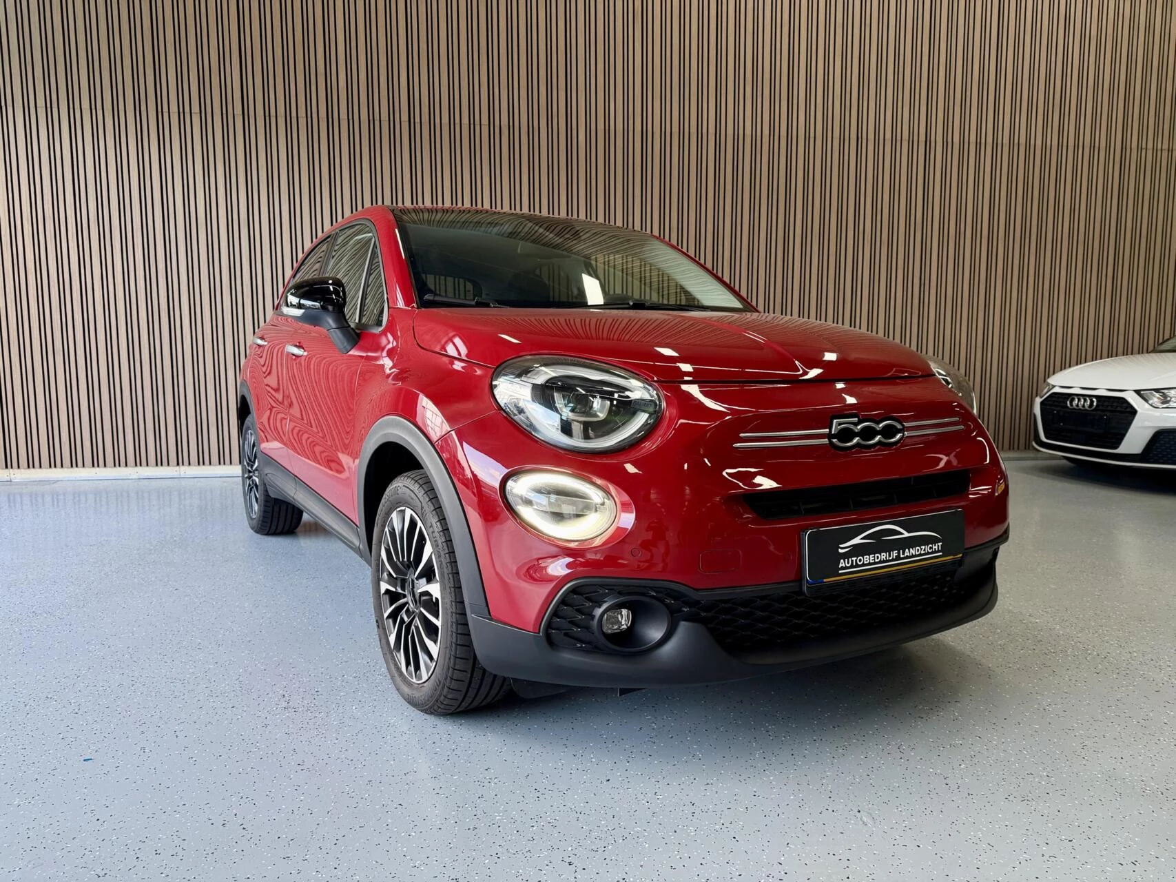 Hoofdafbeelding Fiat 500X
