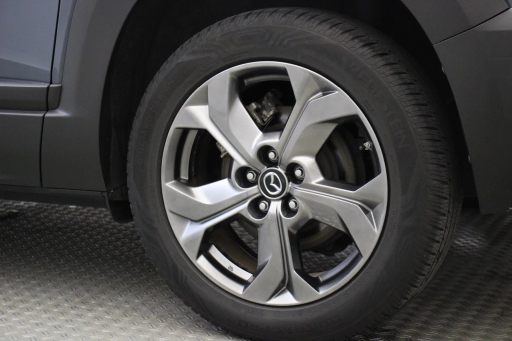 Hoofdafbeelding Mazda MX-30