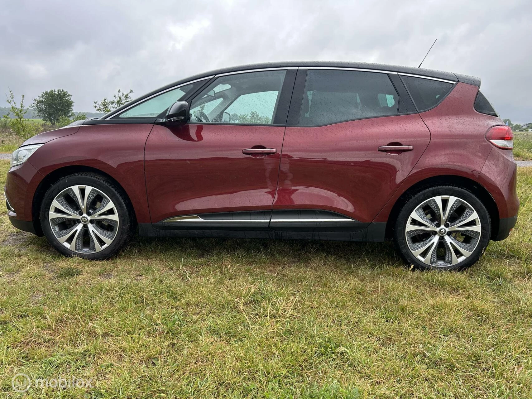 Hoofdafbeelding Renault Scénic
