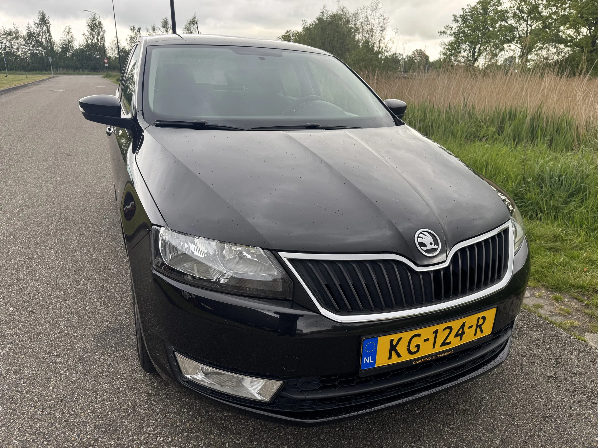 Hoofdafbeelding Škoda Rapid