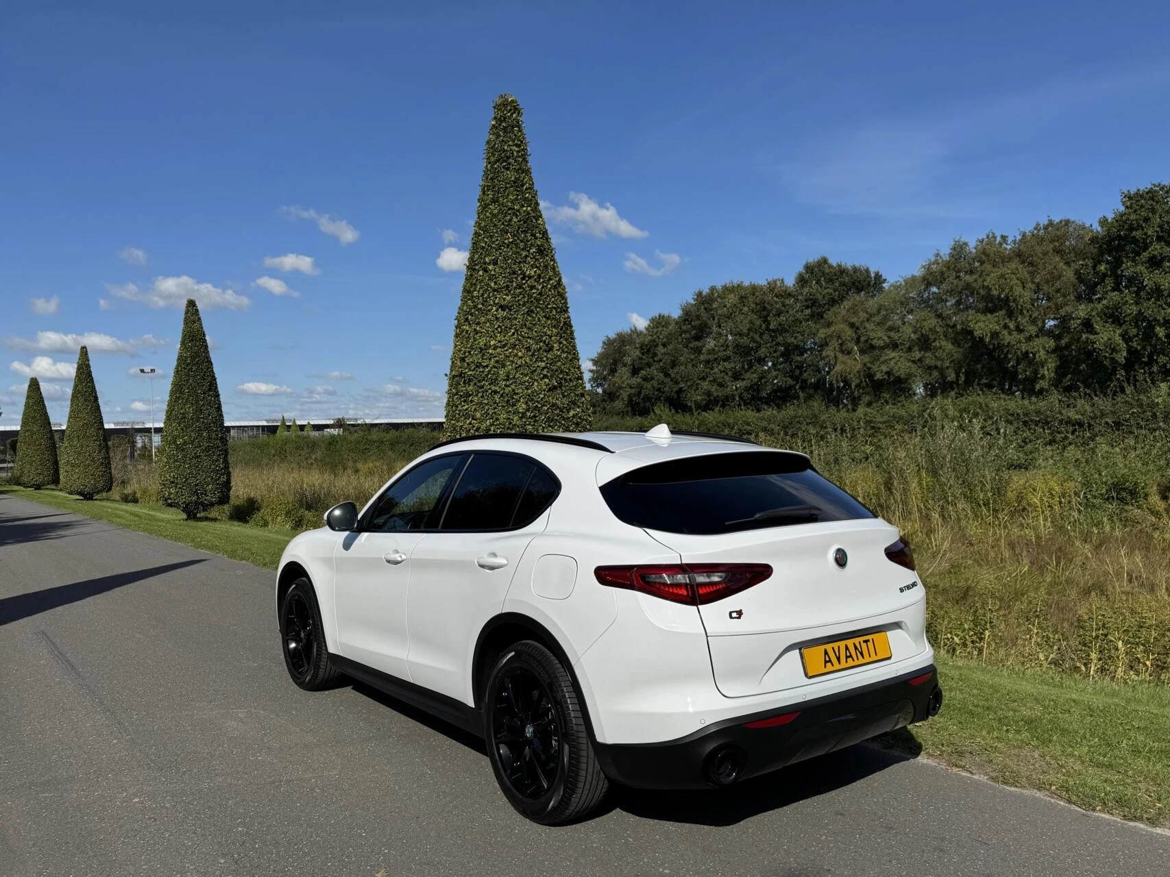 Hoofdafbeelding Alfa Romeo Stelvio