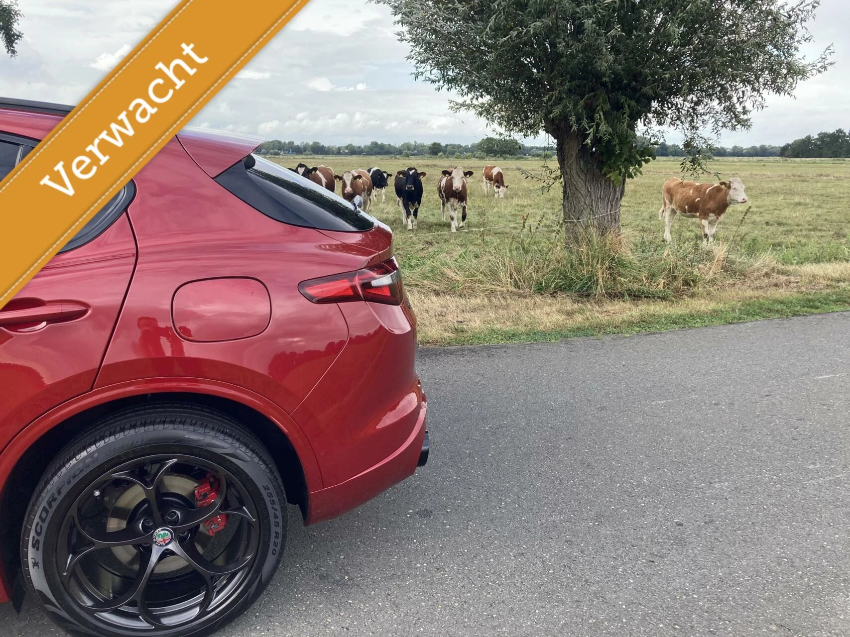 Hoofdafbeelding Alfa Romeo Stelvio